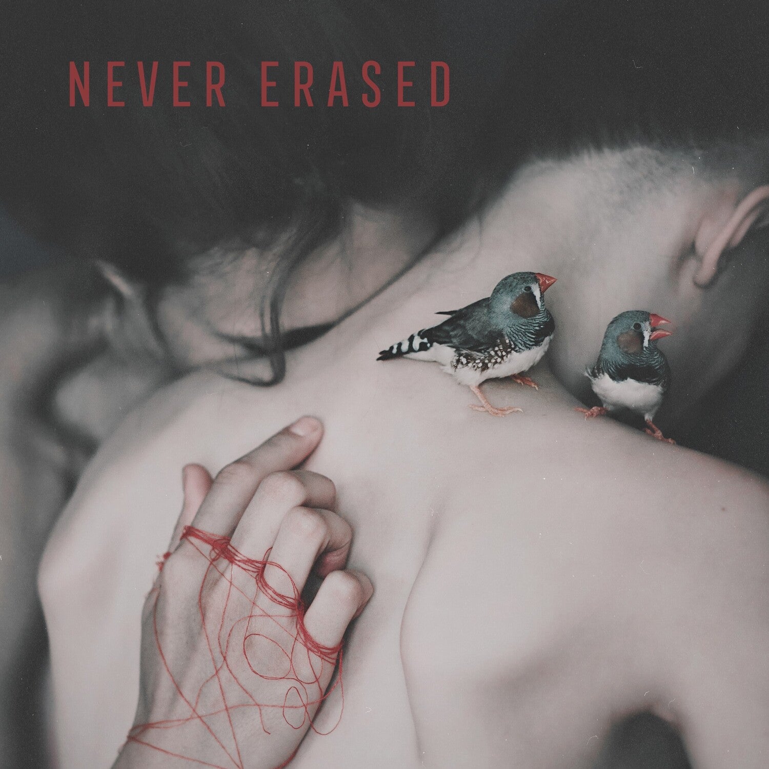 Various Artists - Never Erased