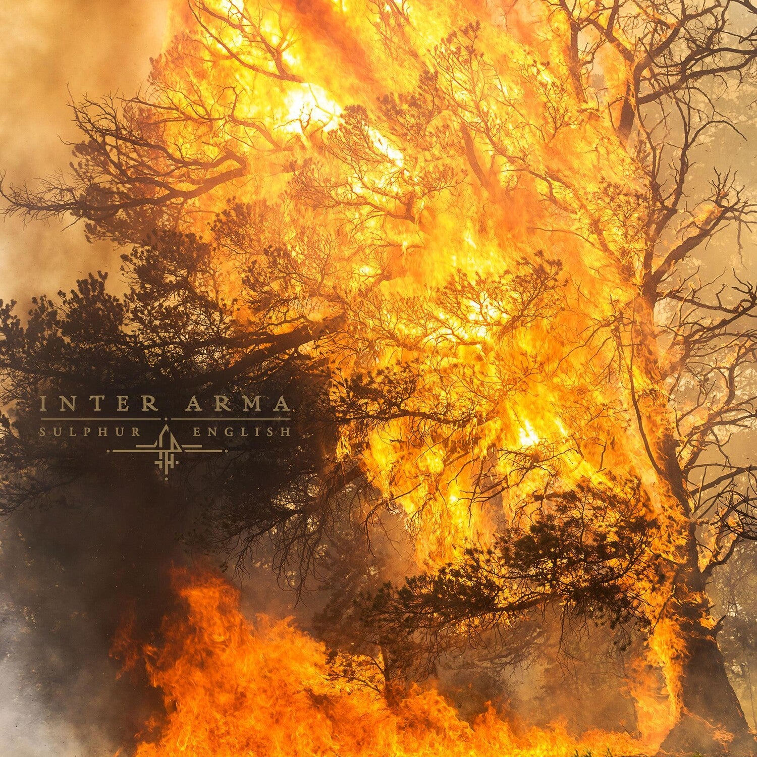 Inter Arma - Sulphur English 2xLP (Gold Vinyl)