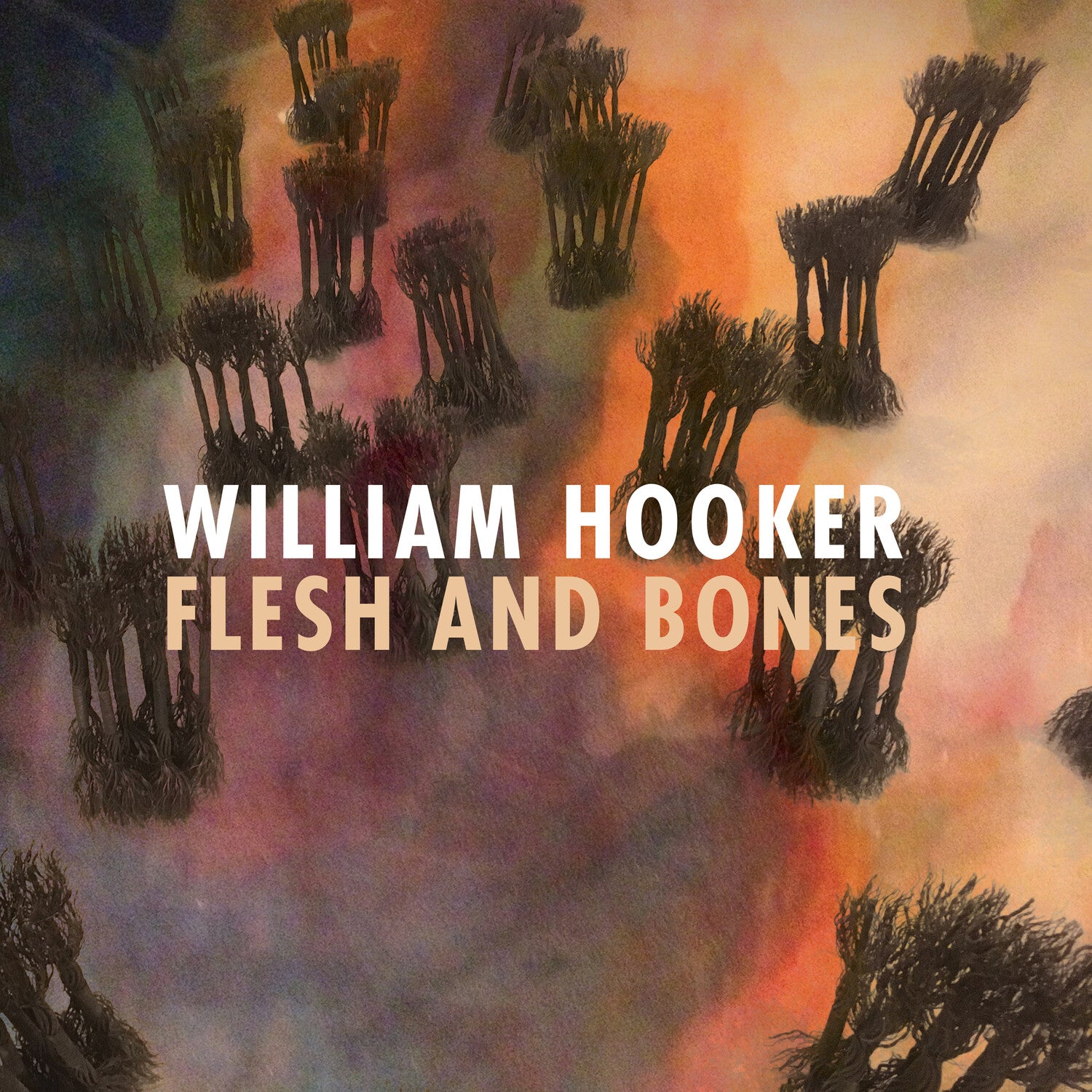 William Hooker - Flesh and Bones (CD)