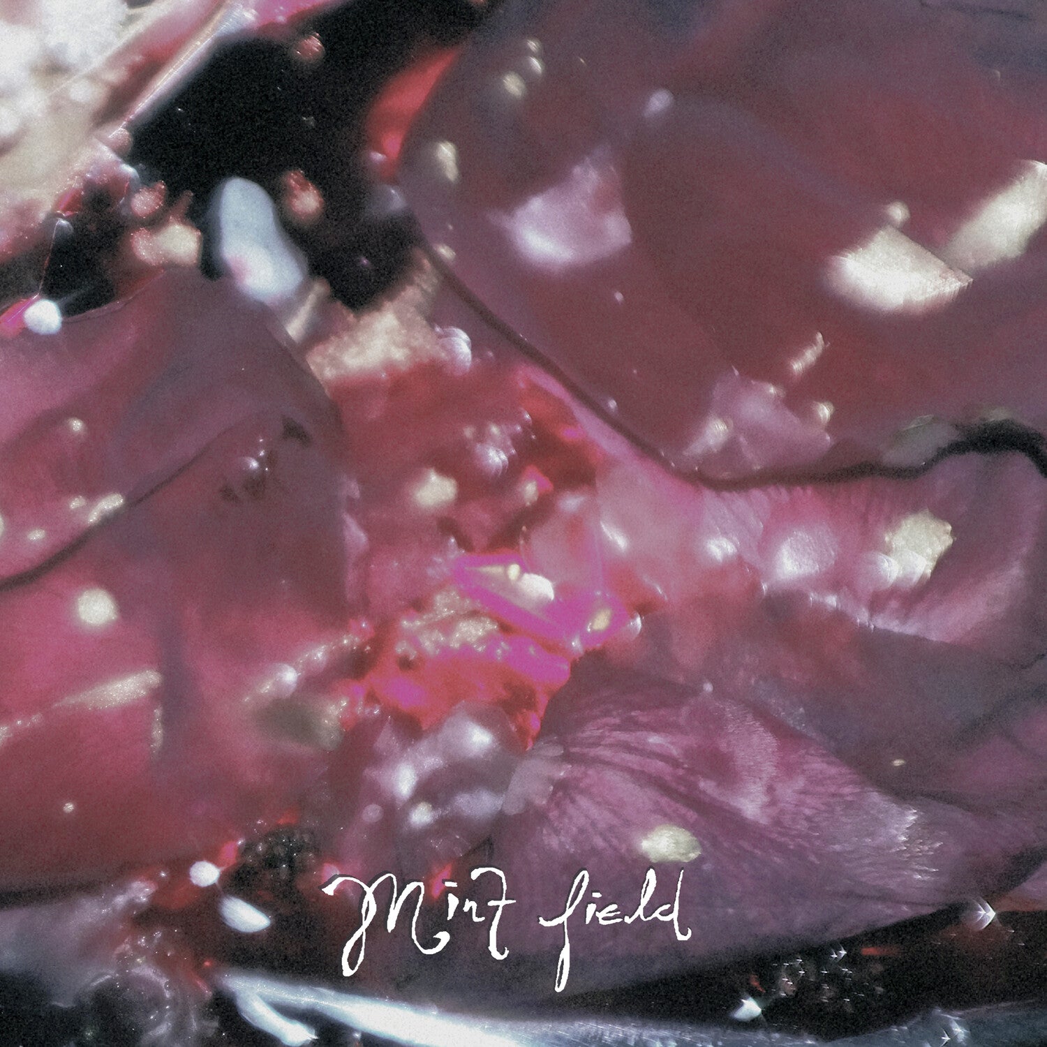 Mint Field - Aprender a Ser (Red Vinyl)