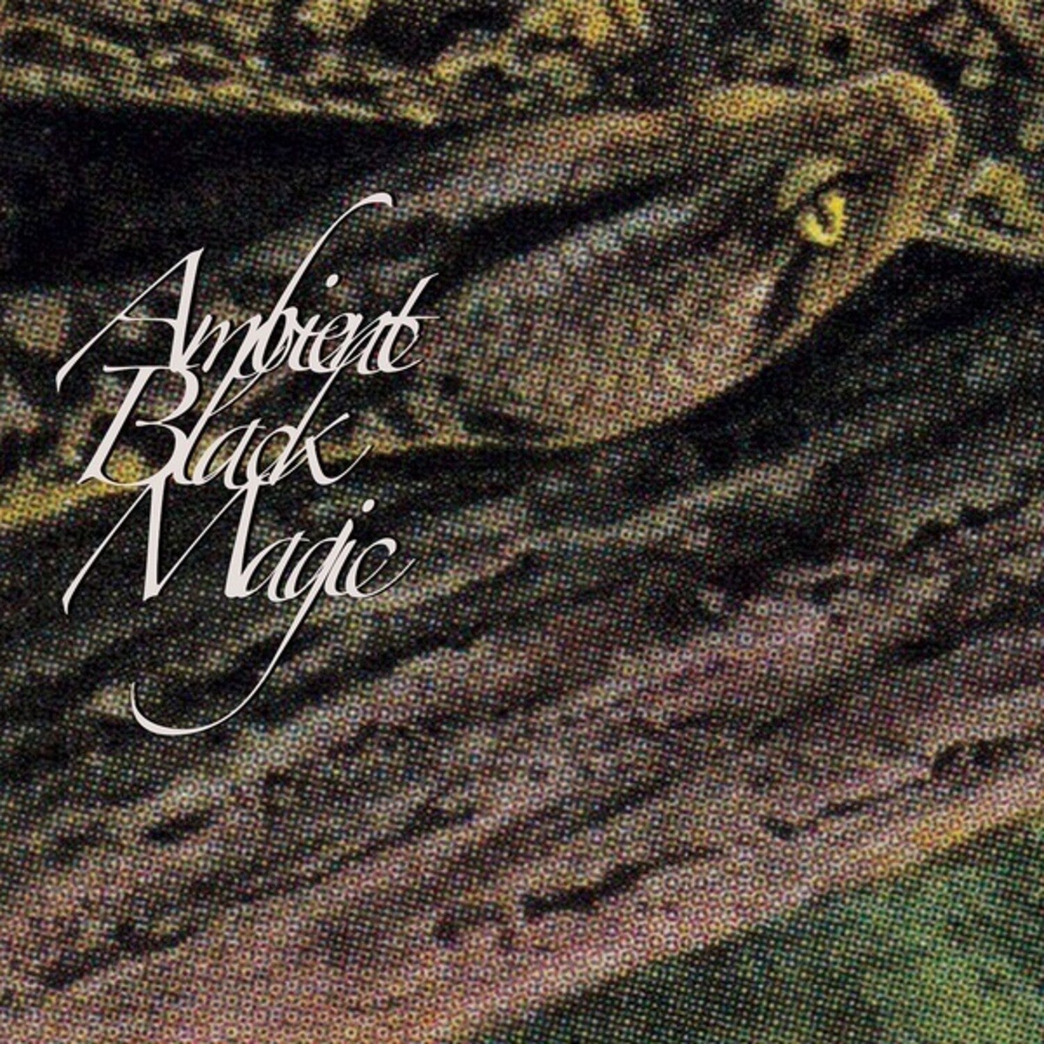 Rainforest Spiritual Enslavement - Ambient Black Magic 3xLP