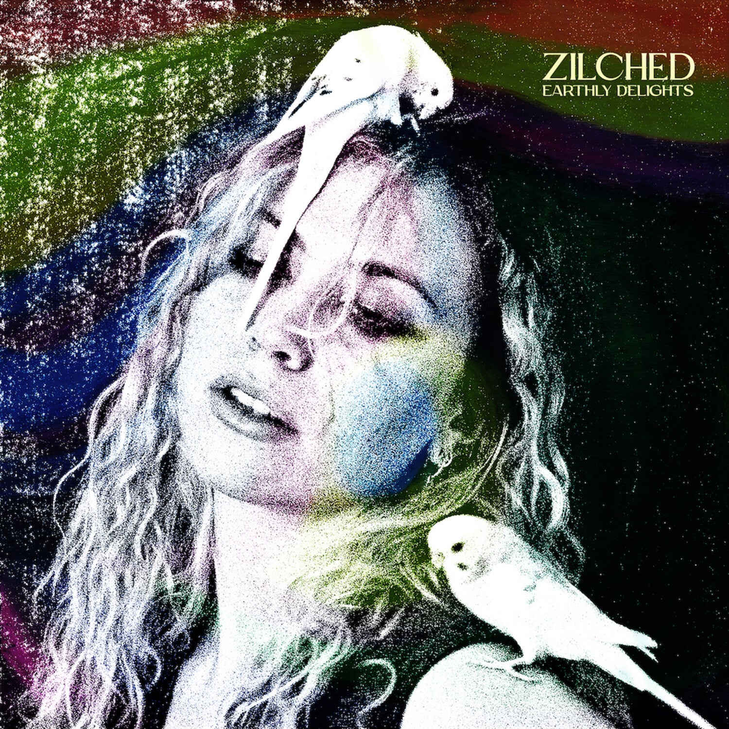 Zilched - Earthly Delights