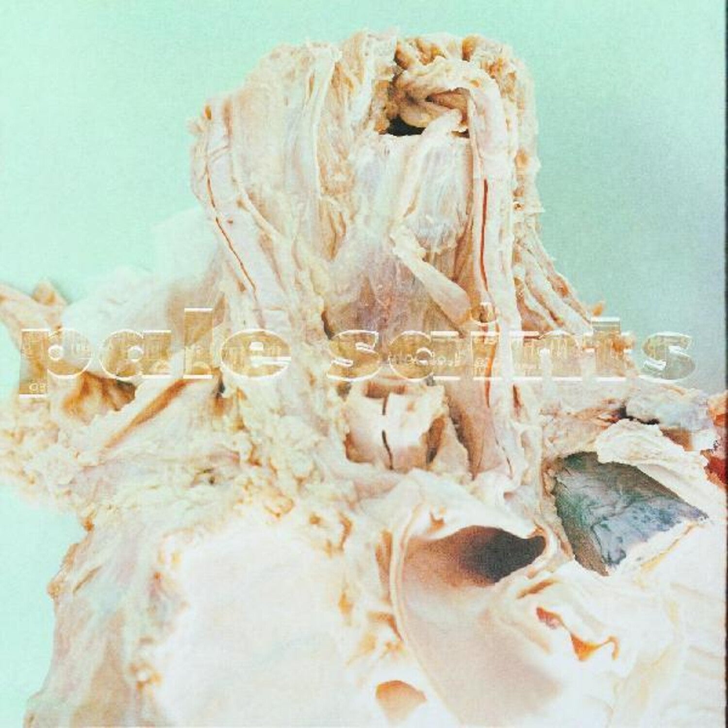 Pale Saints - In Ribbons 2xLP (Deluxe)