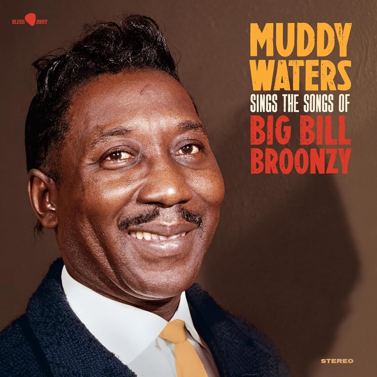 Muddy Waters - Sings The Songs Of Big Bill Bronzy - Limited 180-Gram Vinyl with Bonus Tracks (Limited Edition)
