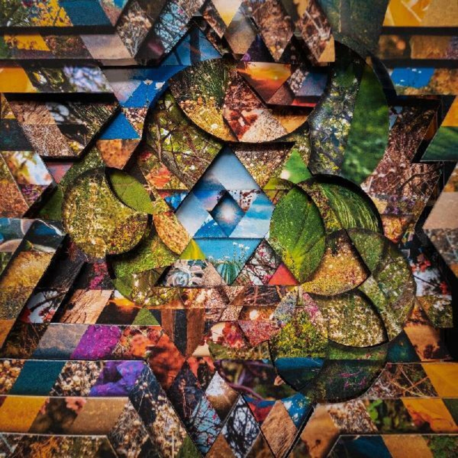 Miguel Atwood-Ferguson - Les Jardins Mystiques 1 3xLP (Limited Edition)