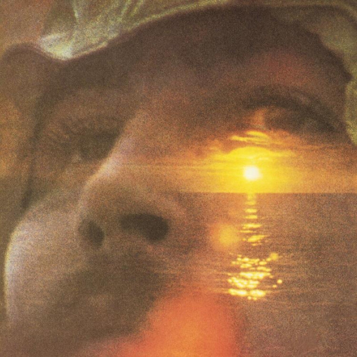 David Crosby - If I Could Only Remember My Name (SACD)