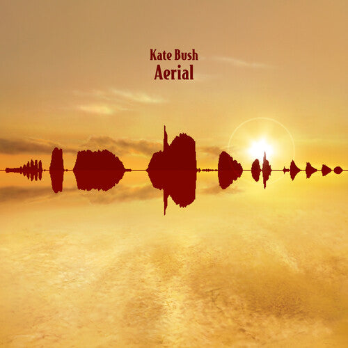 Kate Bush - AERIAL