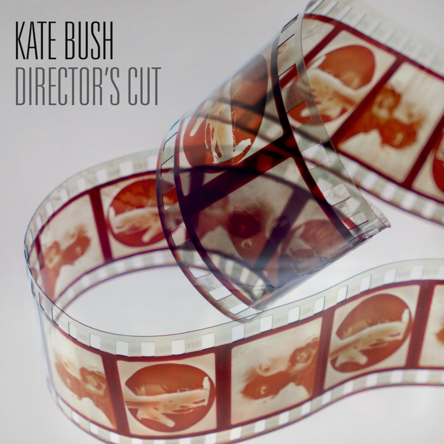 Kate Bush - Director'S Cut - 2018 Remaster 180gm Black Vinyl 2xLP (Remastered)