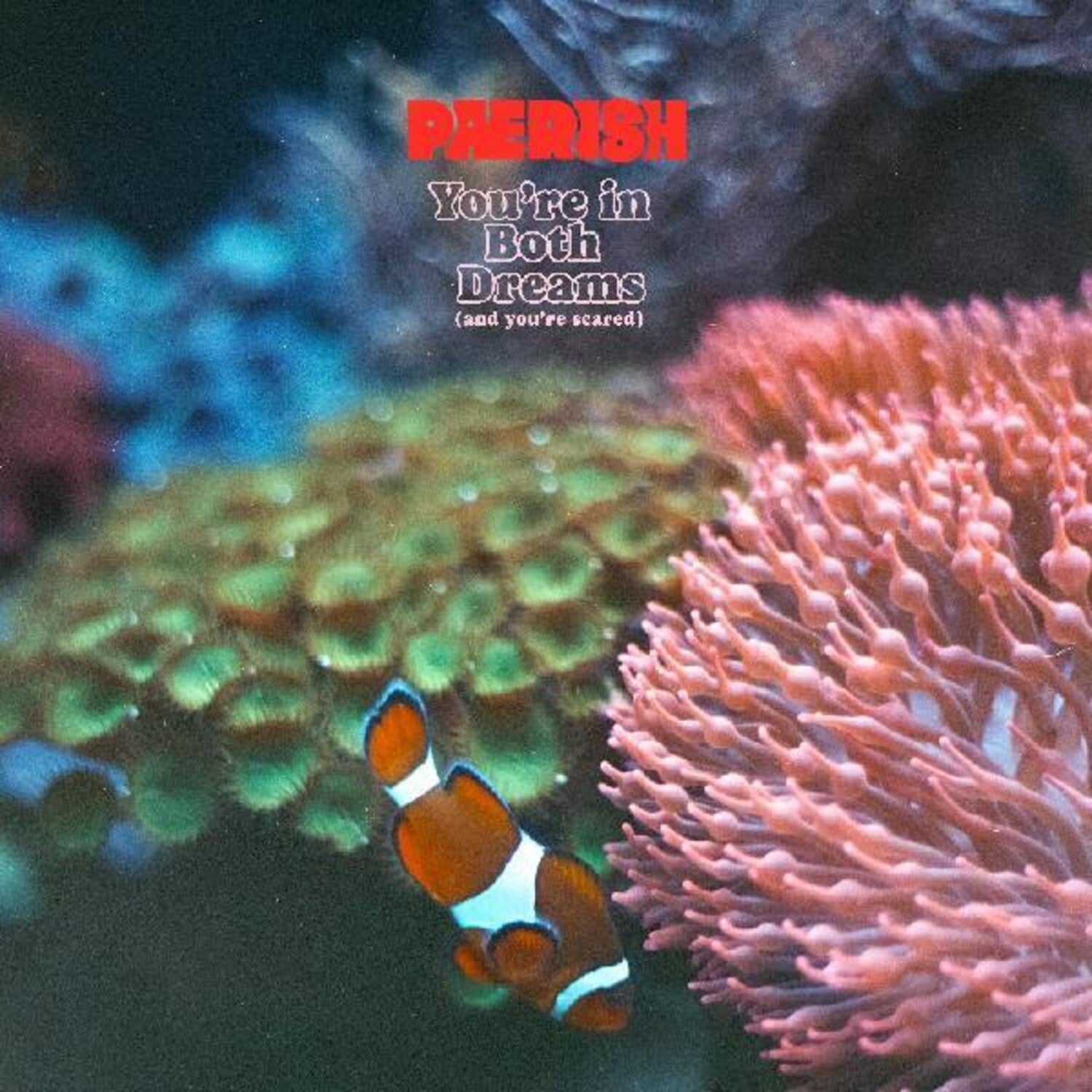 Paerish - You're In Both Dreams (and You're Scared) (CD)