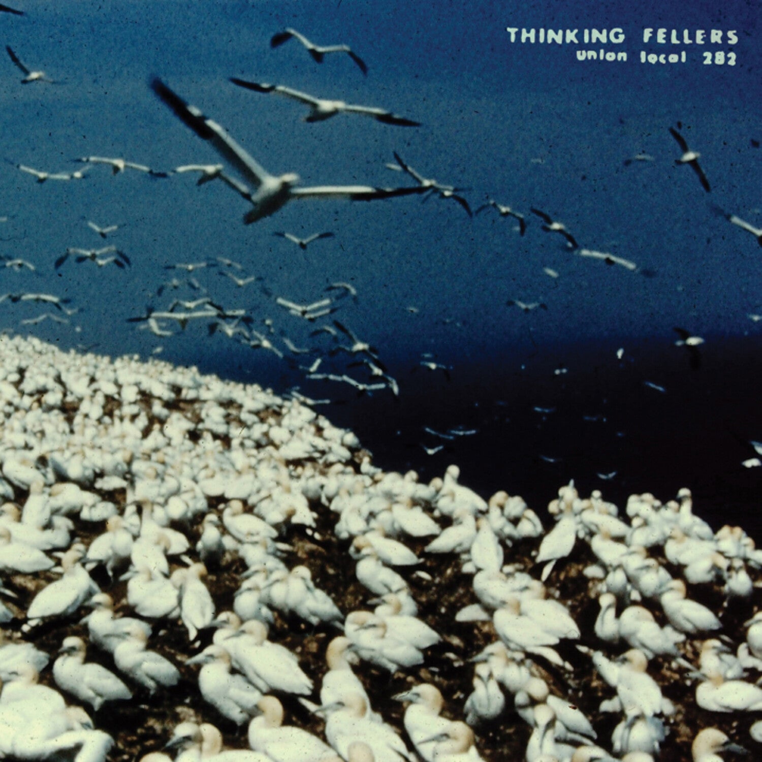 Thinking Fellers Union Local 282 - These Things Remain Unassigned 2xLP (Remastered)