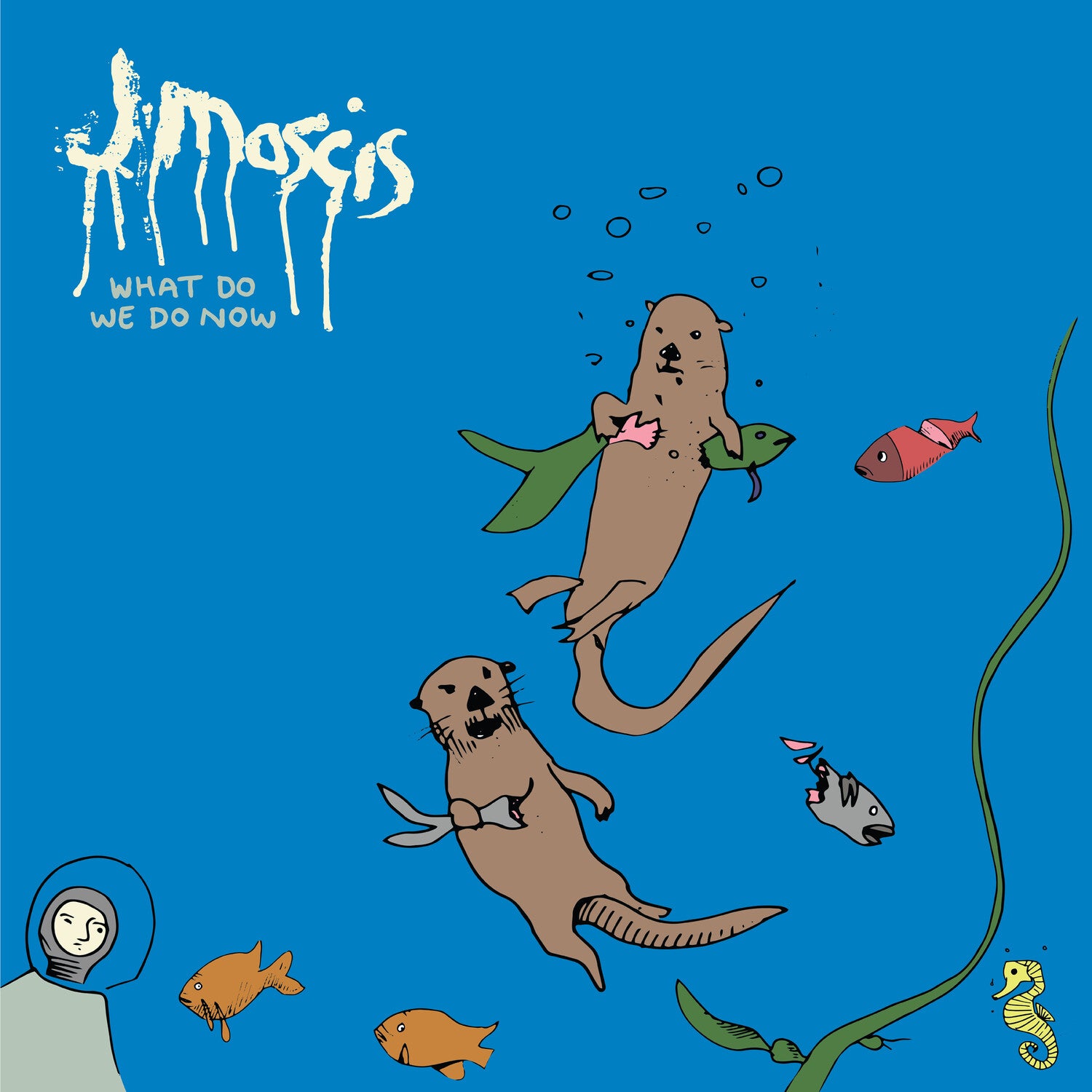 J Mascis - What Do We Do Now (CD)
