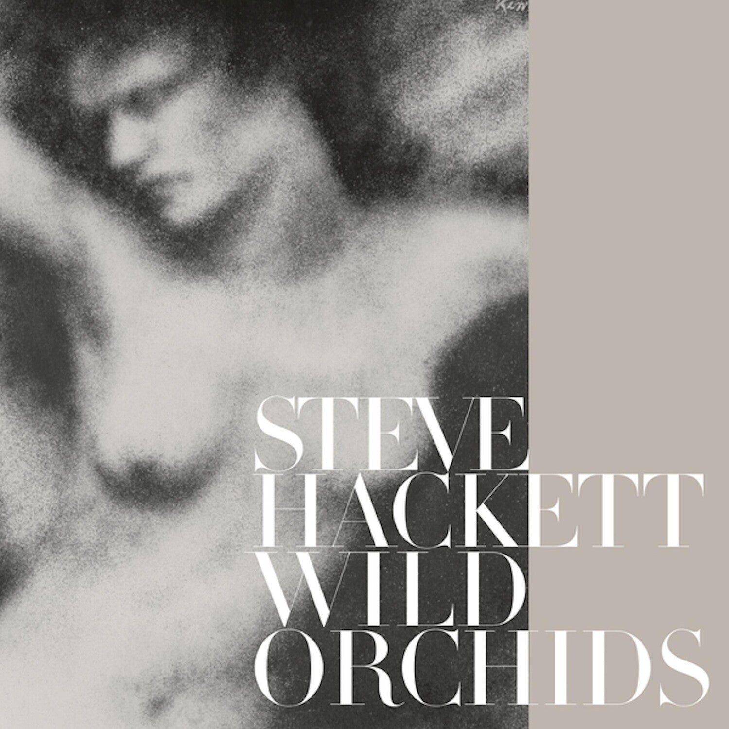 Steve Hackett - Wild Orchids (Reissue)