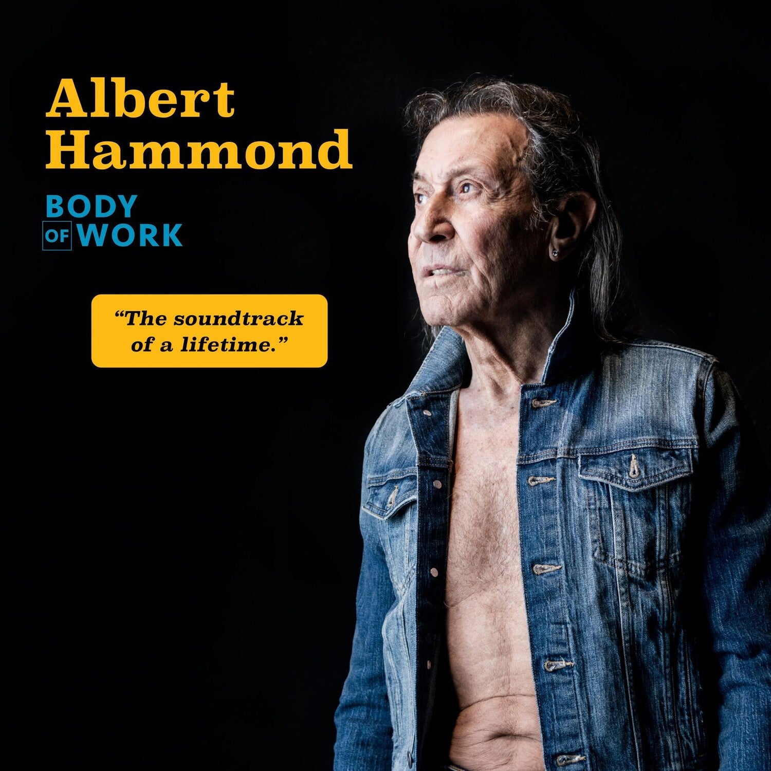 Albert Hammond - Body Of Work 2xLP