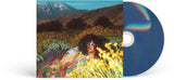 Brittany Howard - What Now (CD)