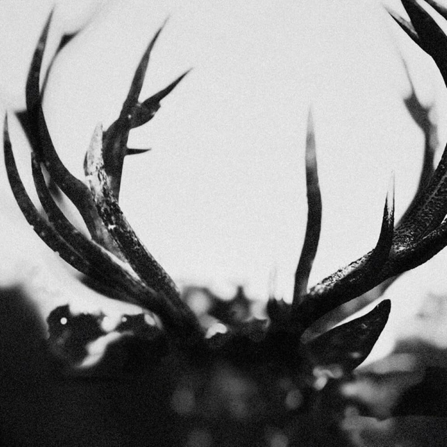 Ihsahn 2xCD