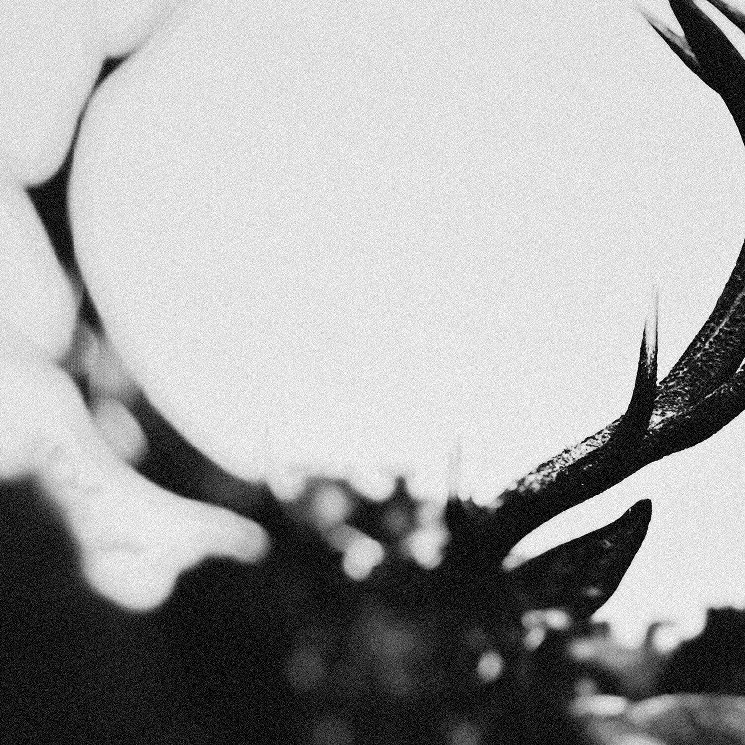 IHSAHN (Orchestral Version) (CD)