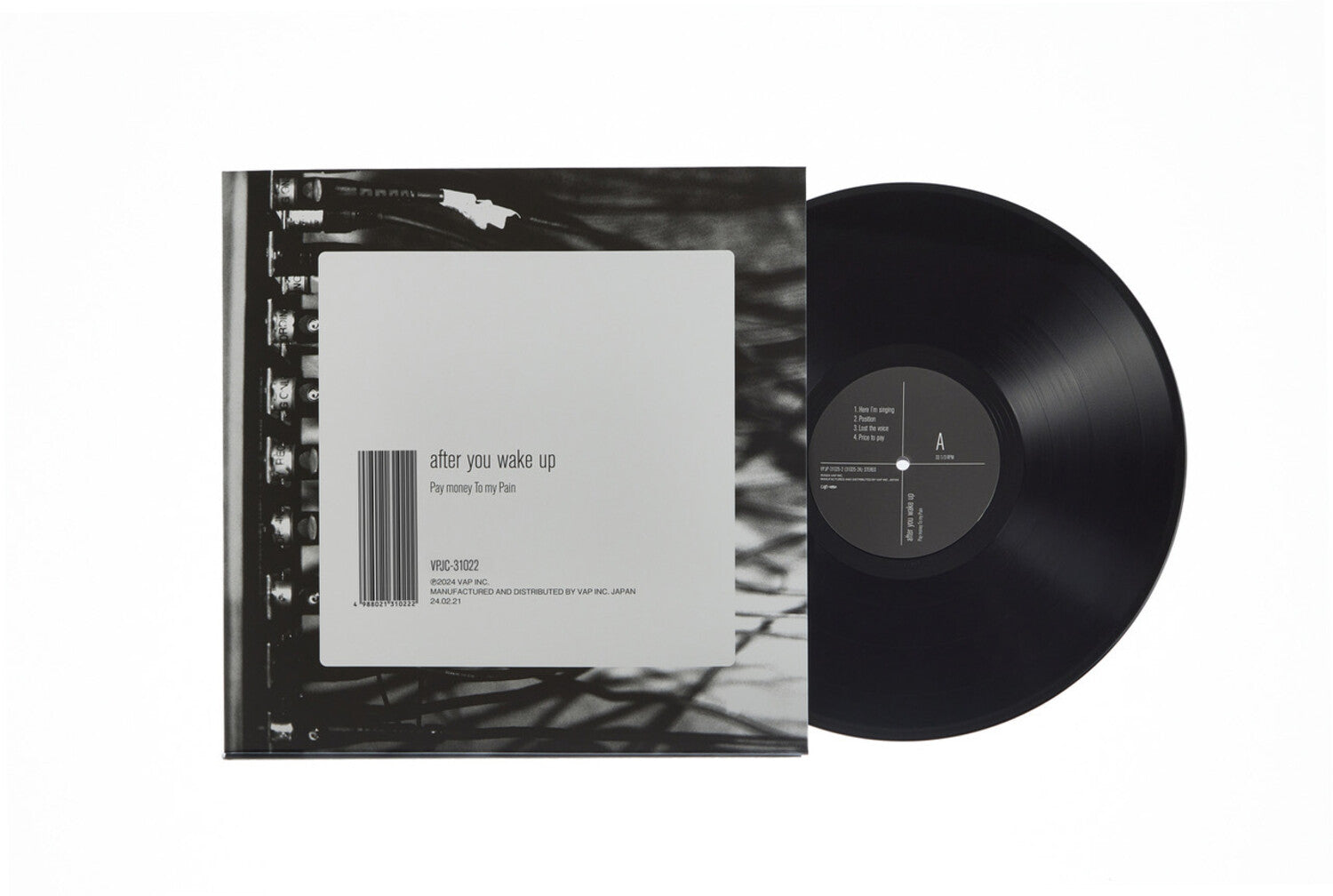 Pay Money to My Pain - After You Wake Up (Limited Edition)