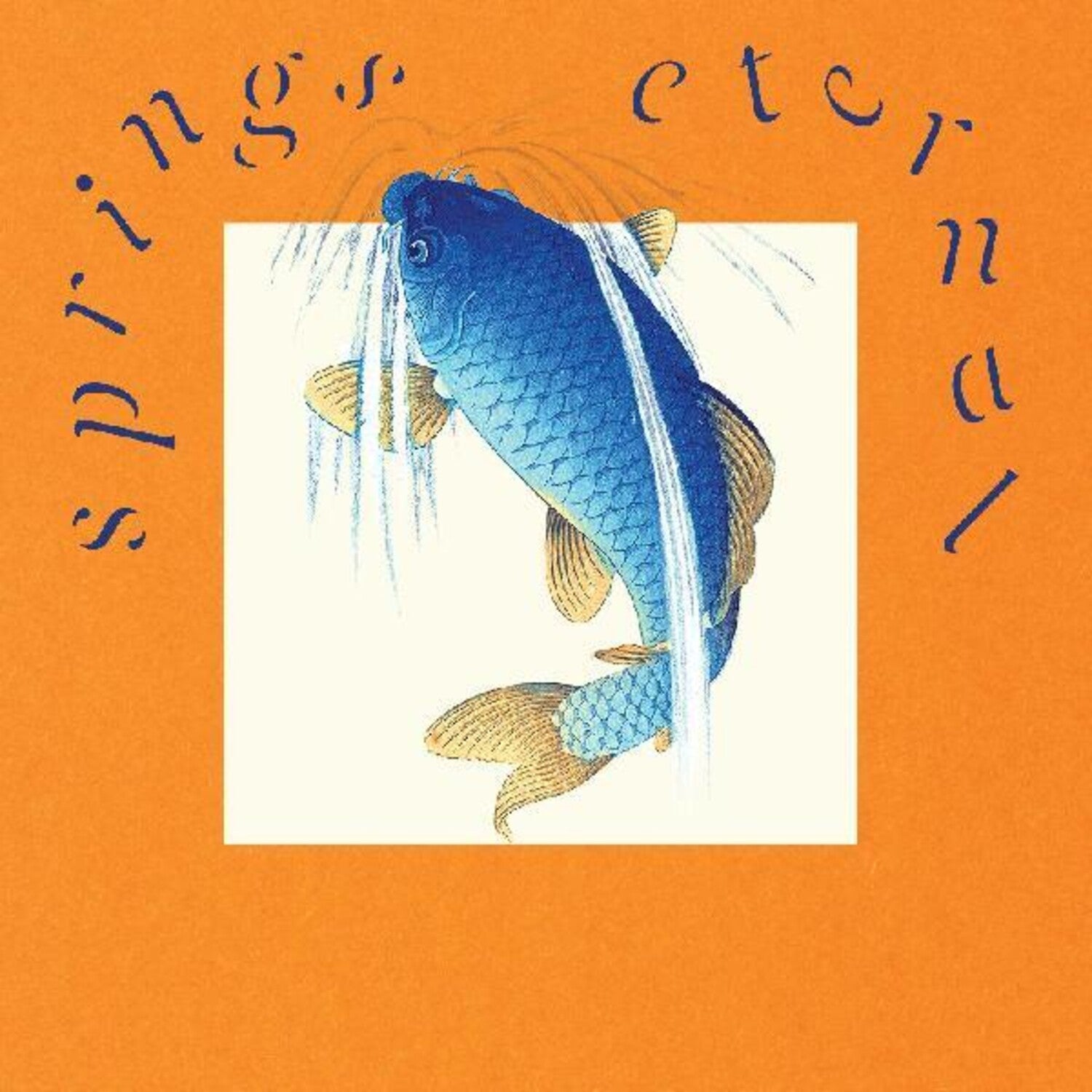 William Doyle - Springs Eternal (CD)