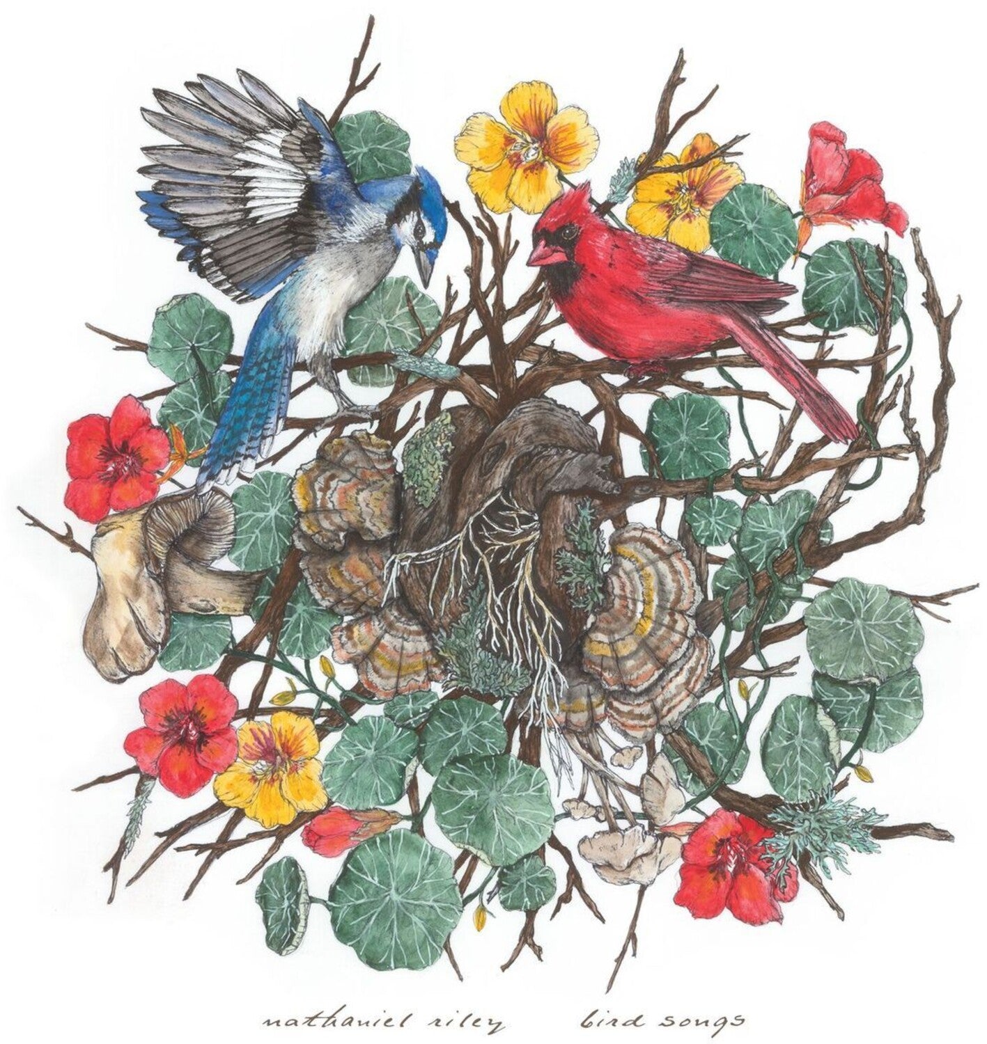 Nathaniel Riley - Bird Songs