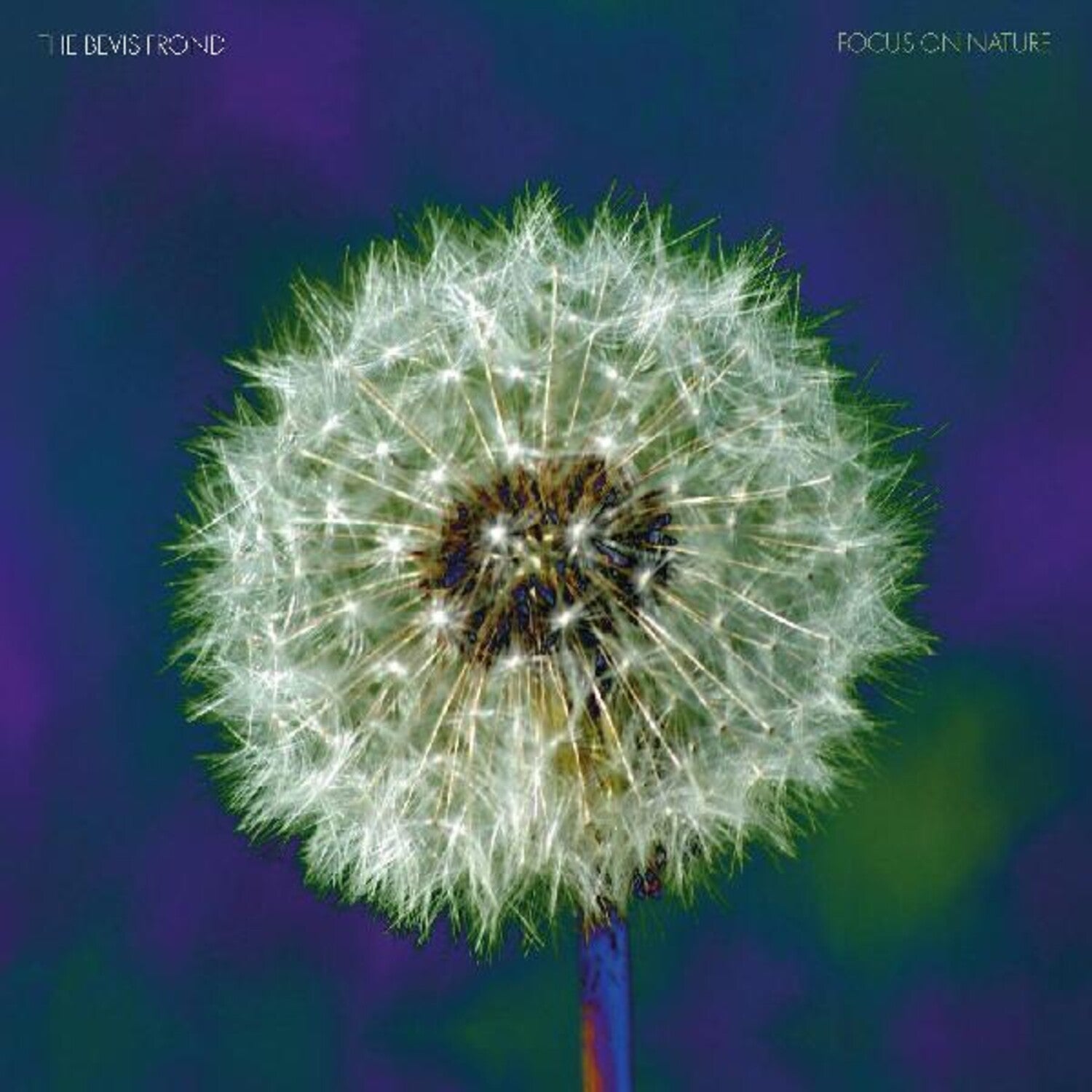 Bevis Frond - Focus On Nature (Purple Vinyl)