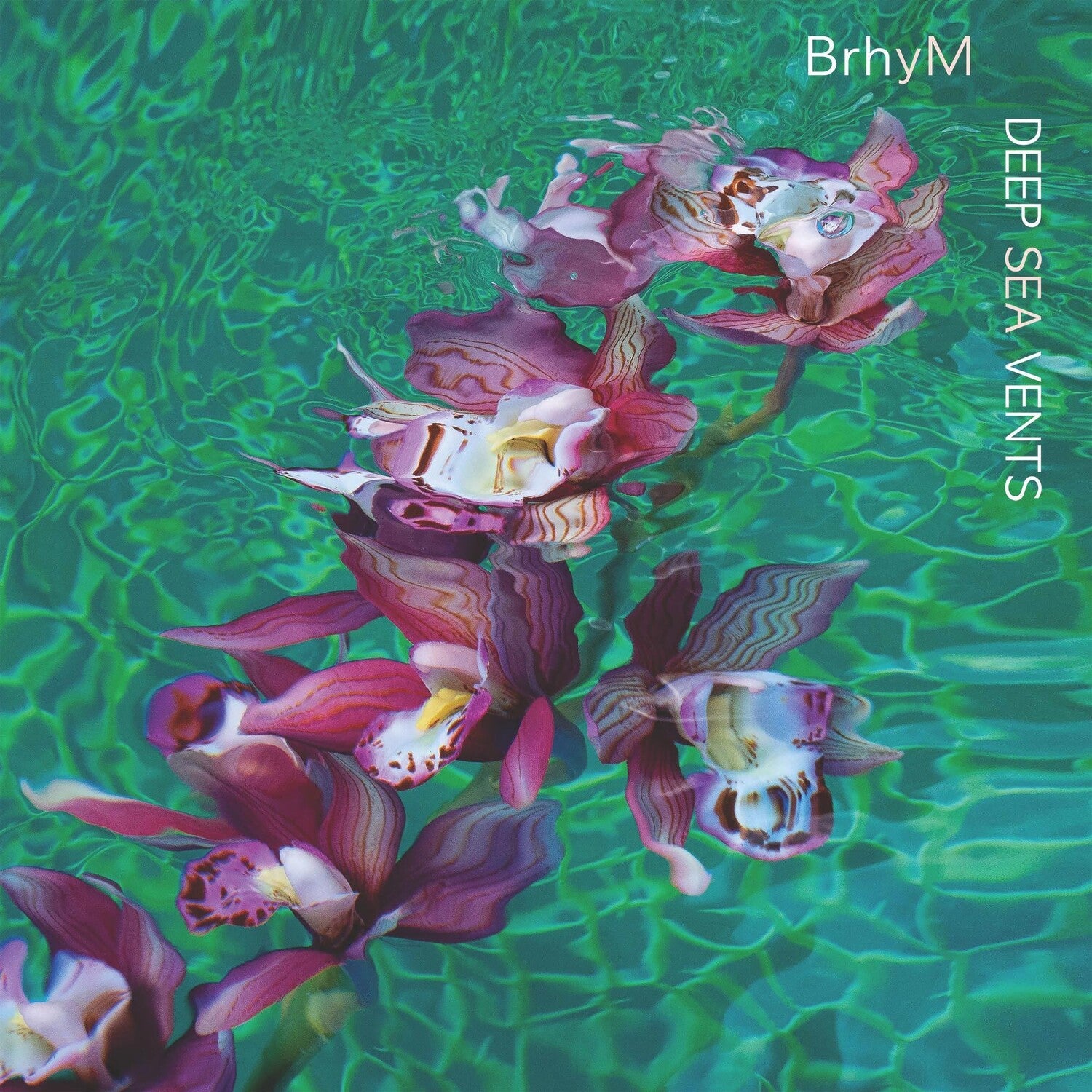 Brhym - Deep Sea Vents (Clear Vinyl)