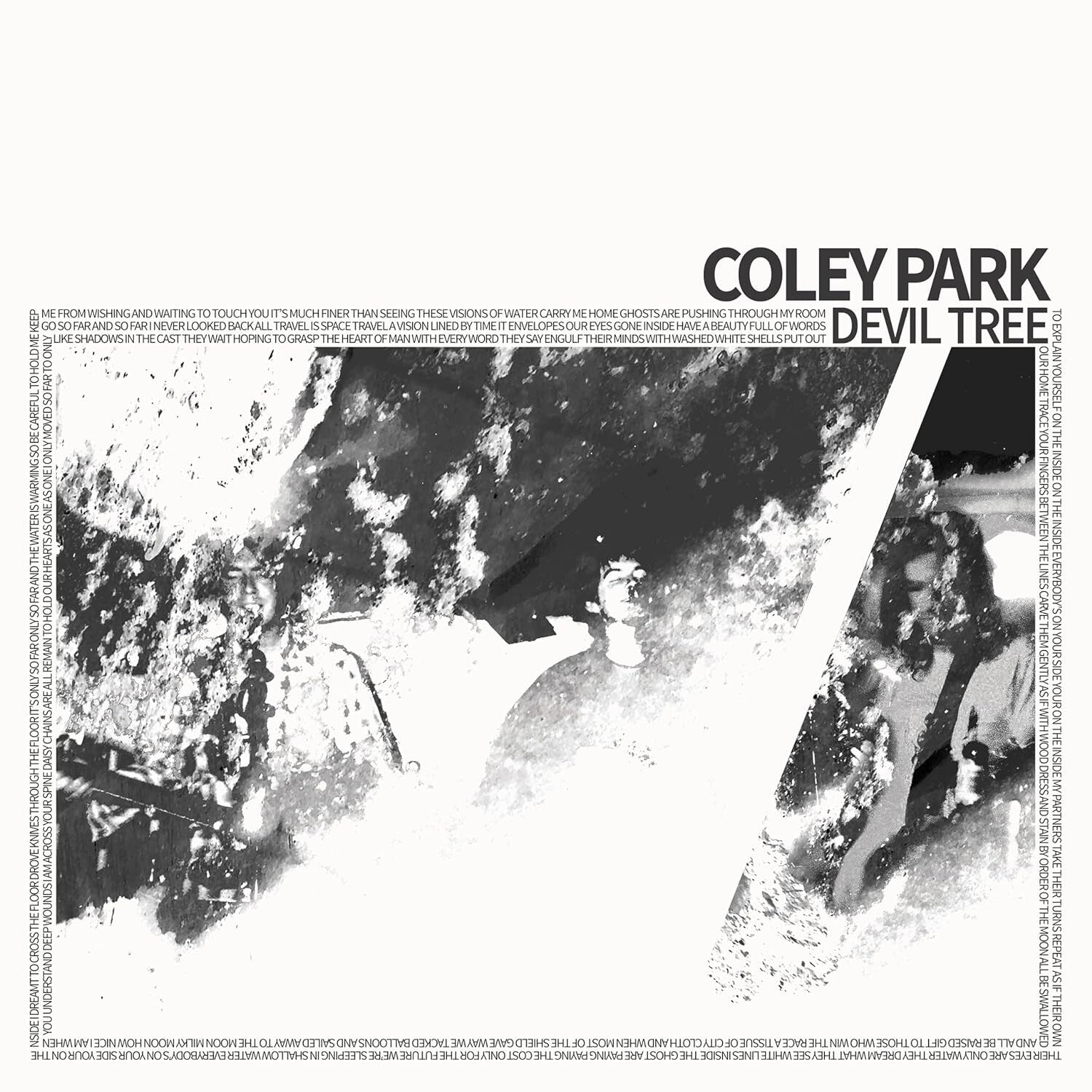 Coley Park - Devil Tree
