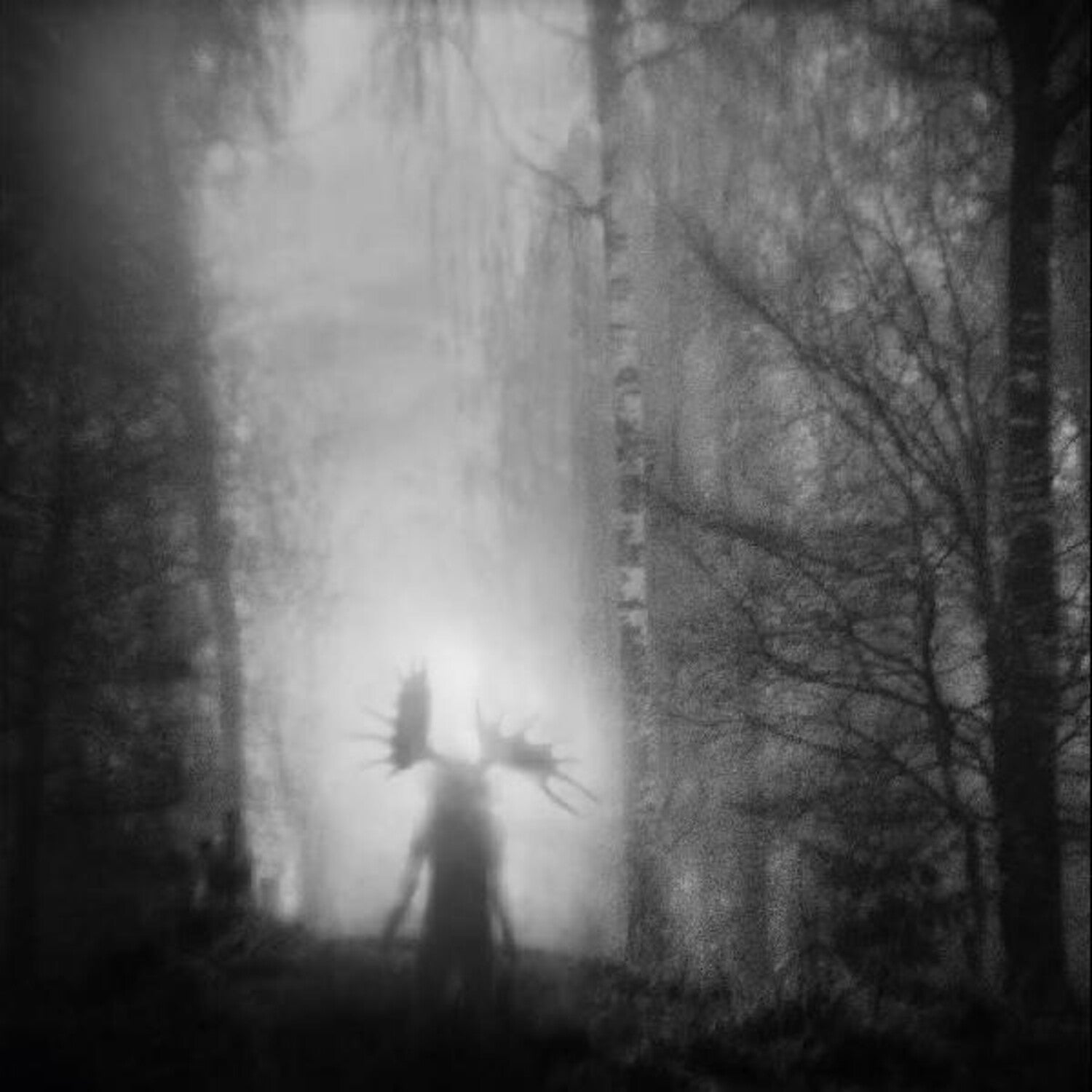 Iterum Nata - From The Infinite Light (CD)