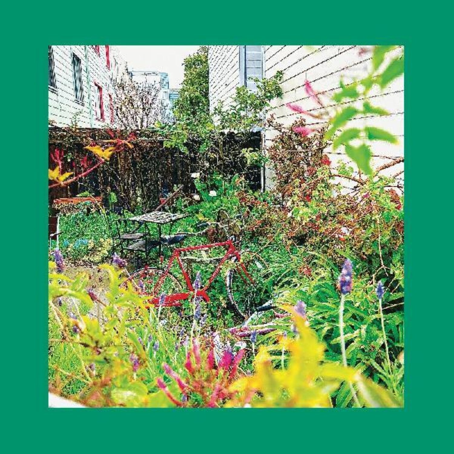 Reds Pinks & Purples - Unwishing Well (CD)
