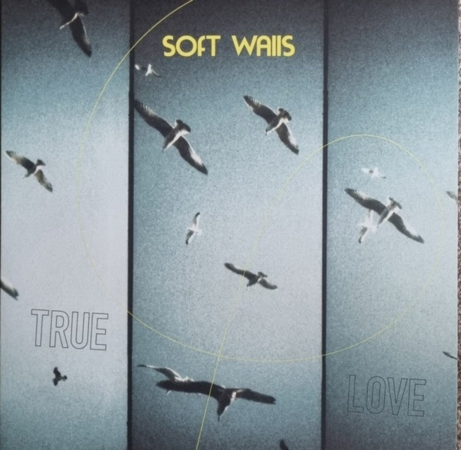 Soft Walls - True Love