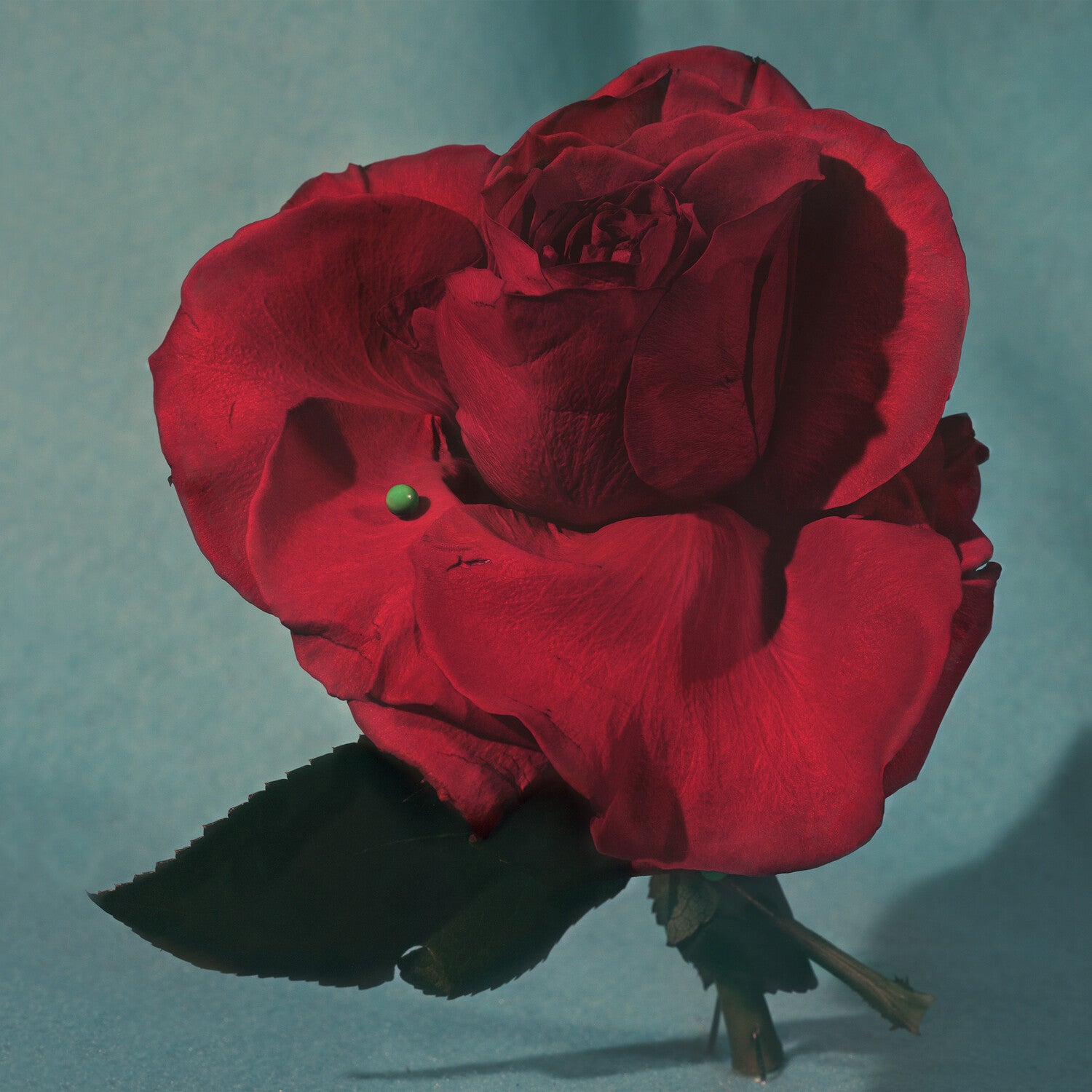 Metz - Up on Gravity Hill - Clear w/ Red (Clear Vinyl)