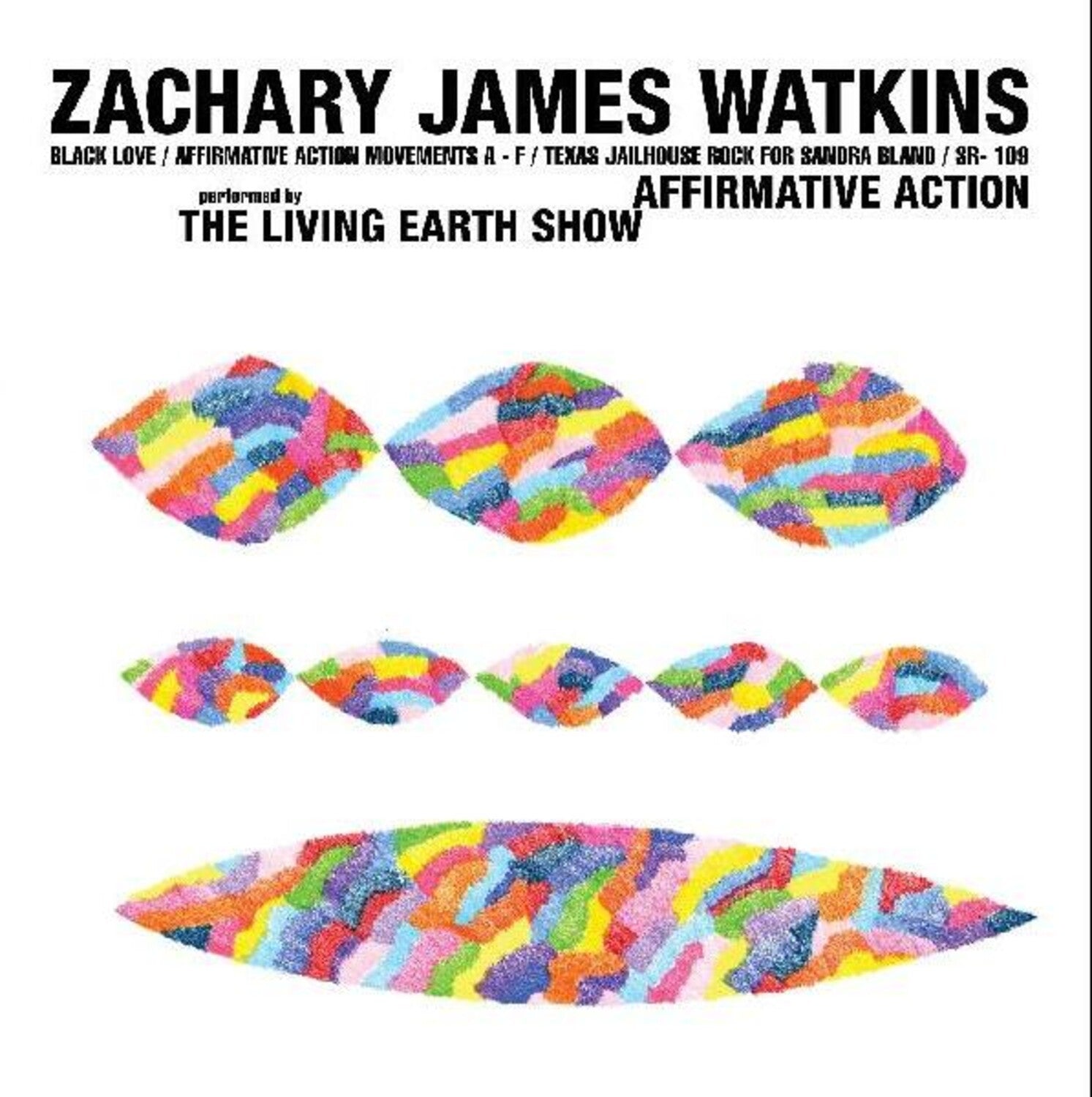 Zachary James Watkins - Affirmative Action