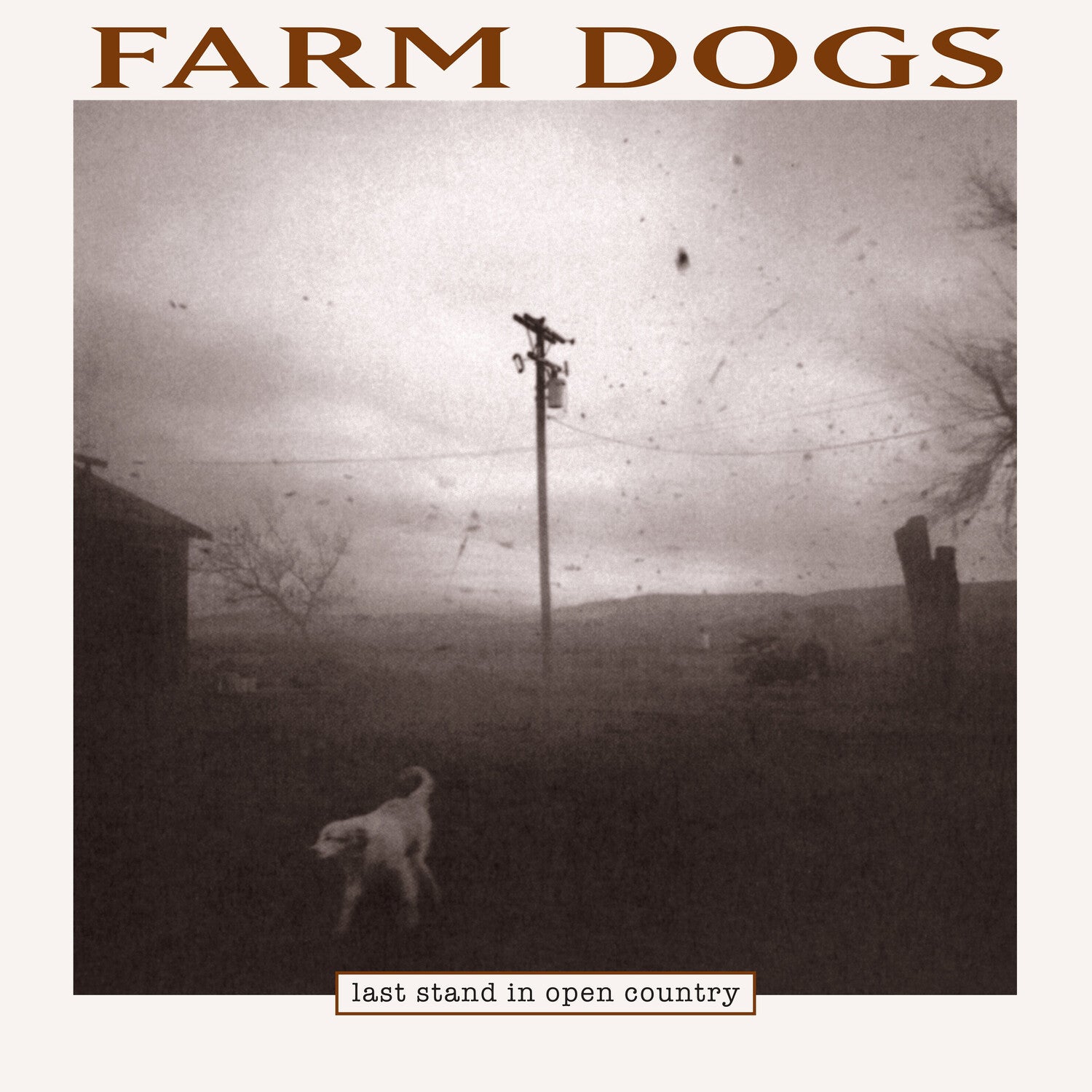Farm Dogs - Last Stand In Open Country 2xLP