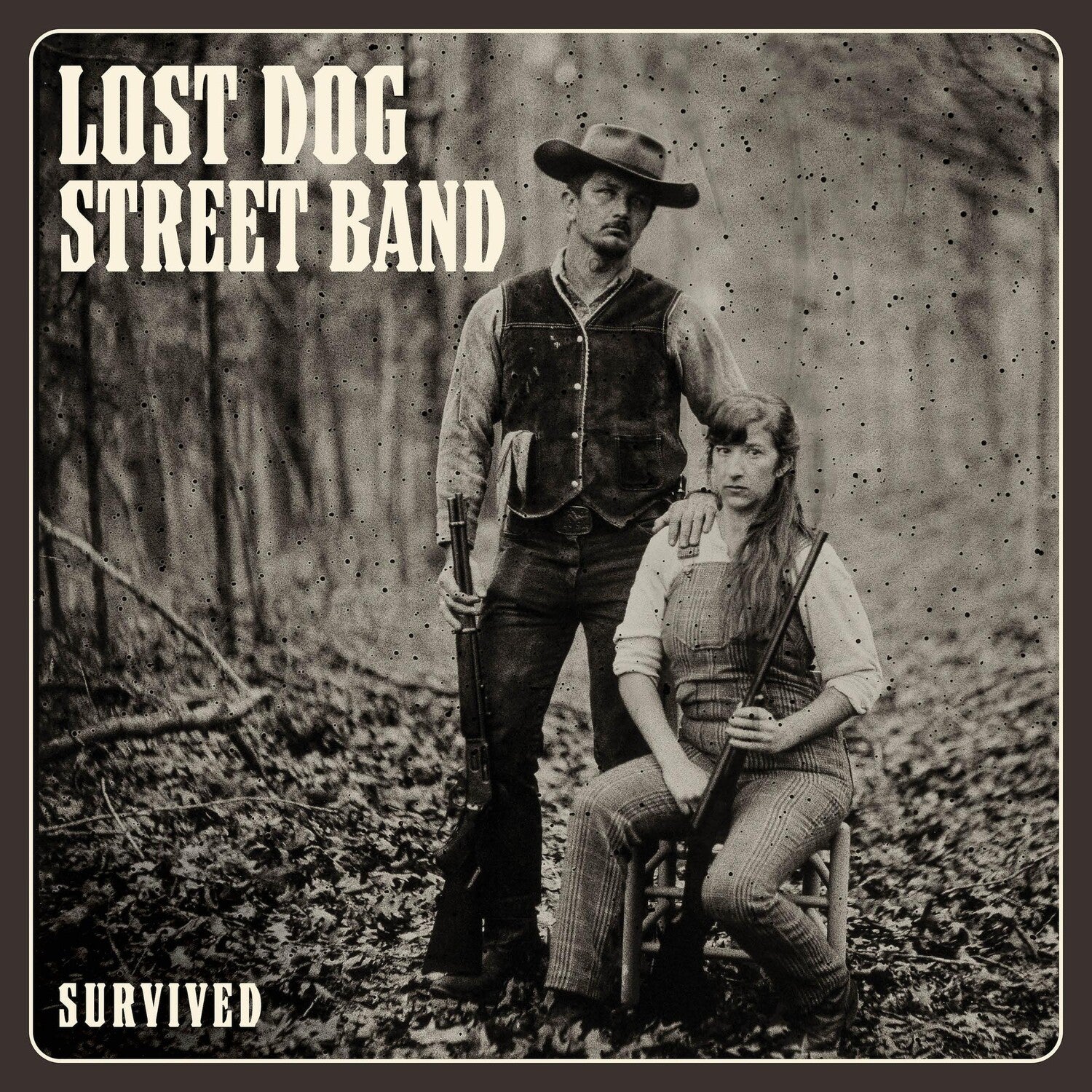 Lost Dog Street - Survived