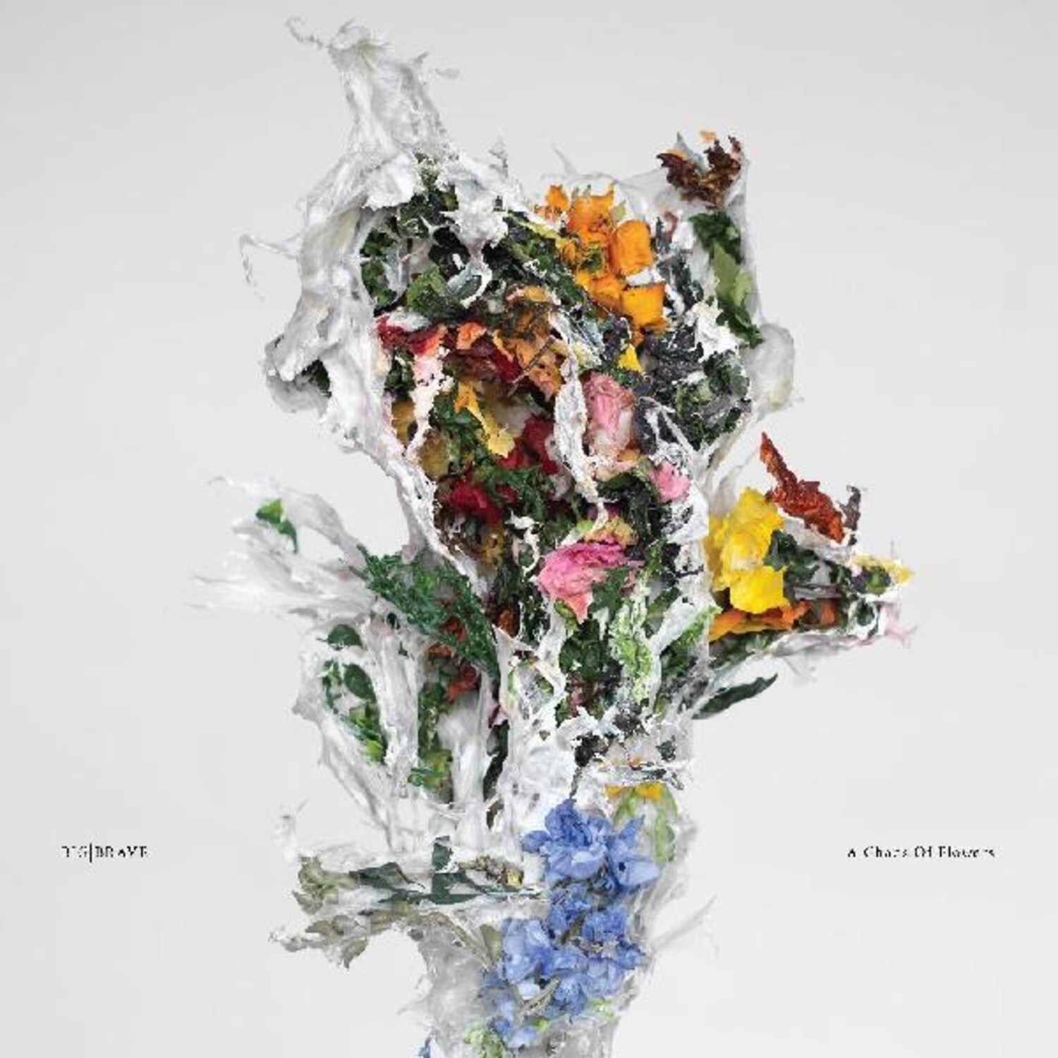 Big/Brave - A Chaos of Flowers