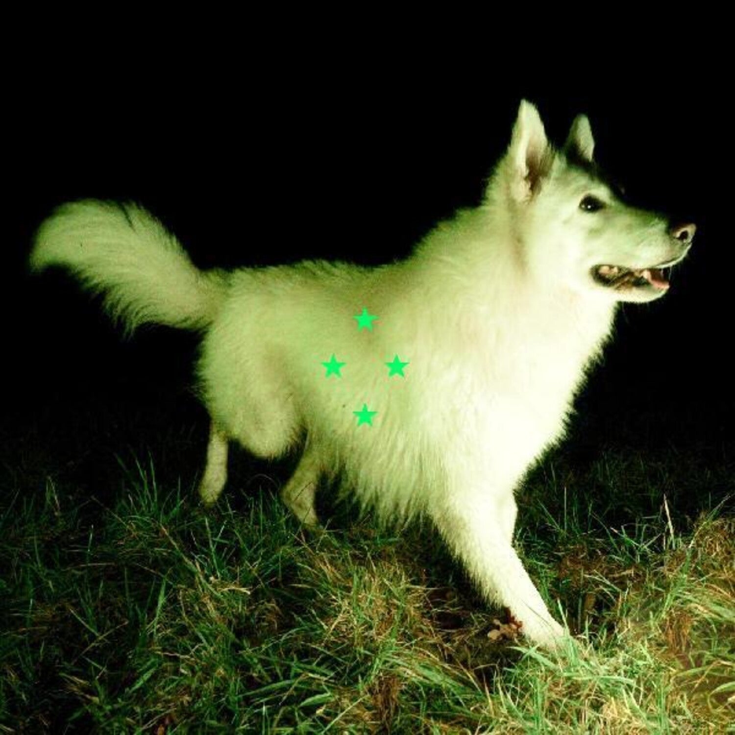 Real Farmer - Compare What's There (Green Vinyl)