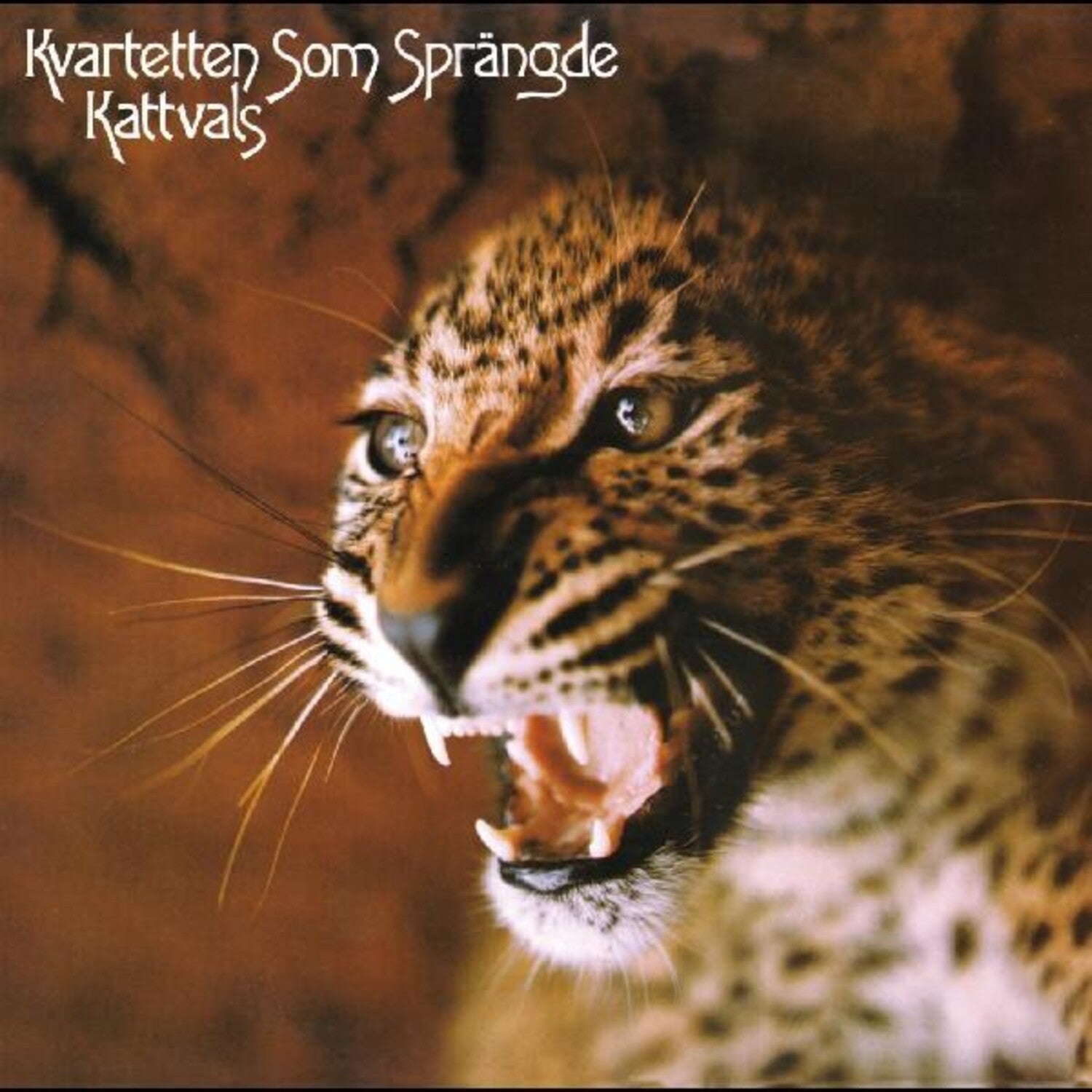 Kvartetten Som Sprangde - Kattvals (Splatter Vinyl)