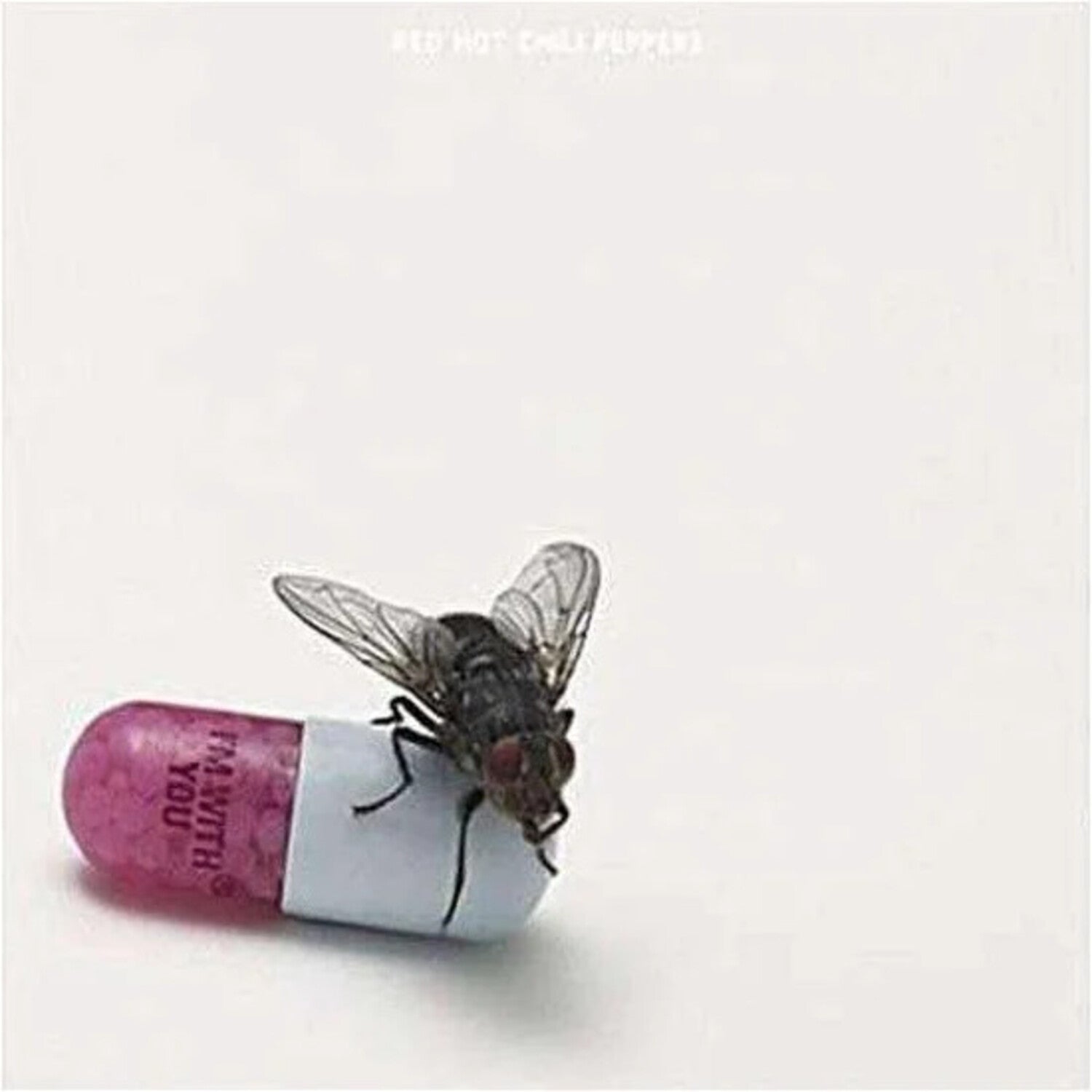 Red Hot Chili Peppers - I'm With You 2xLP