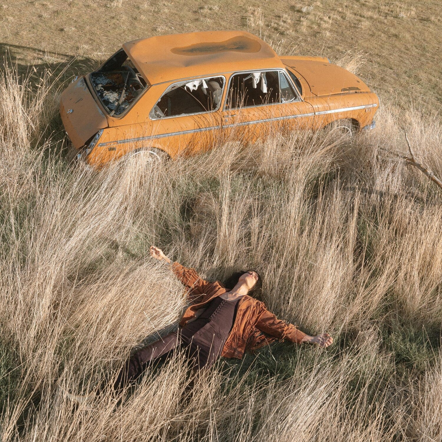 Lawrence Rothman - The Plow That Broke The Plains