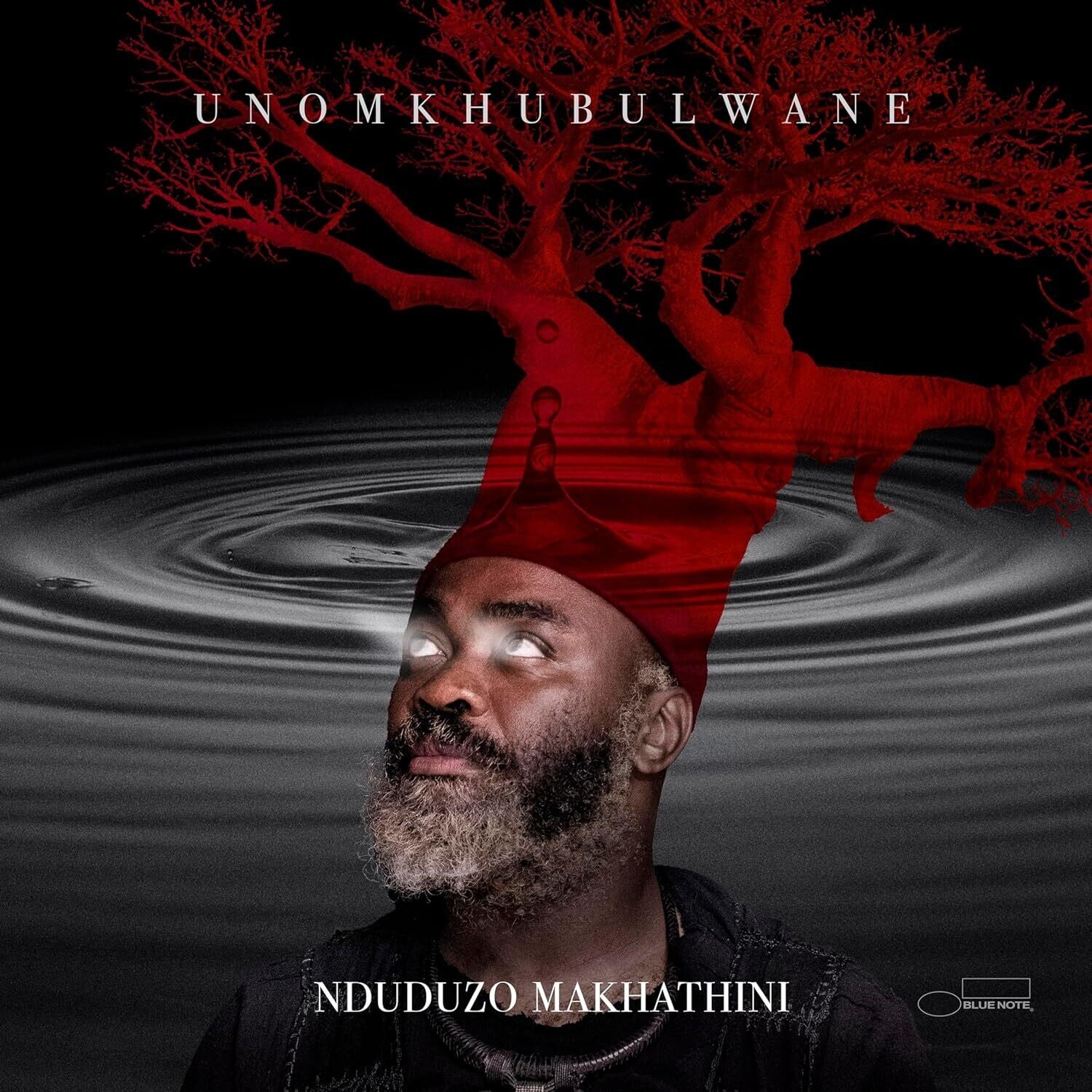 Nduduzo Makhathini - uNomkhubulwane 2xLP
