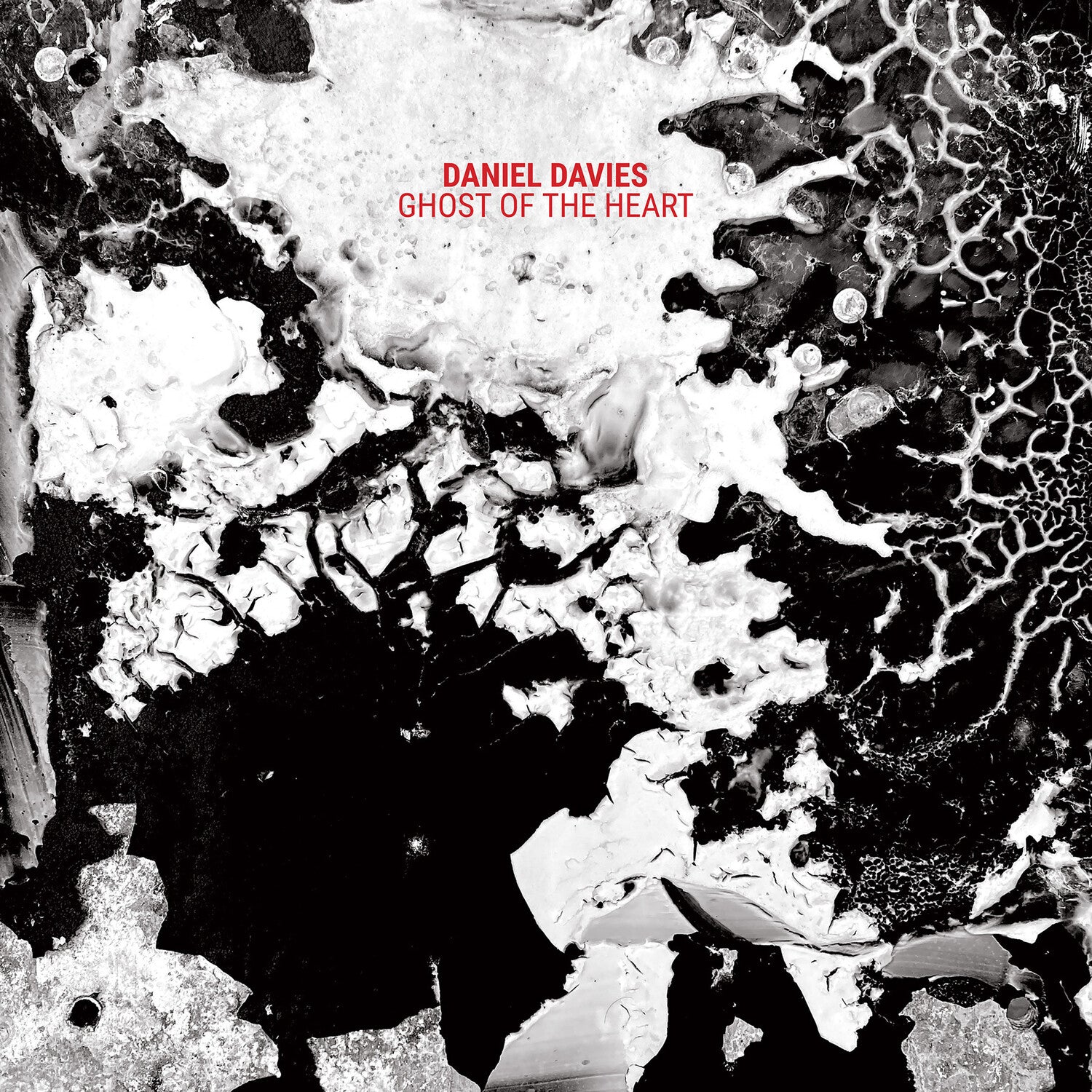 Daniel Davies - Ghost of the Heart (CD)