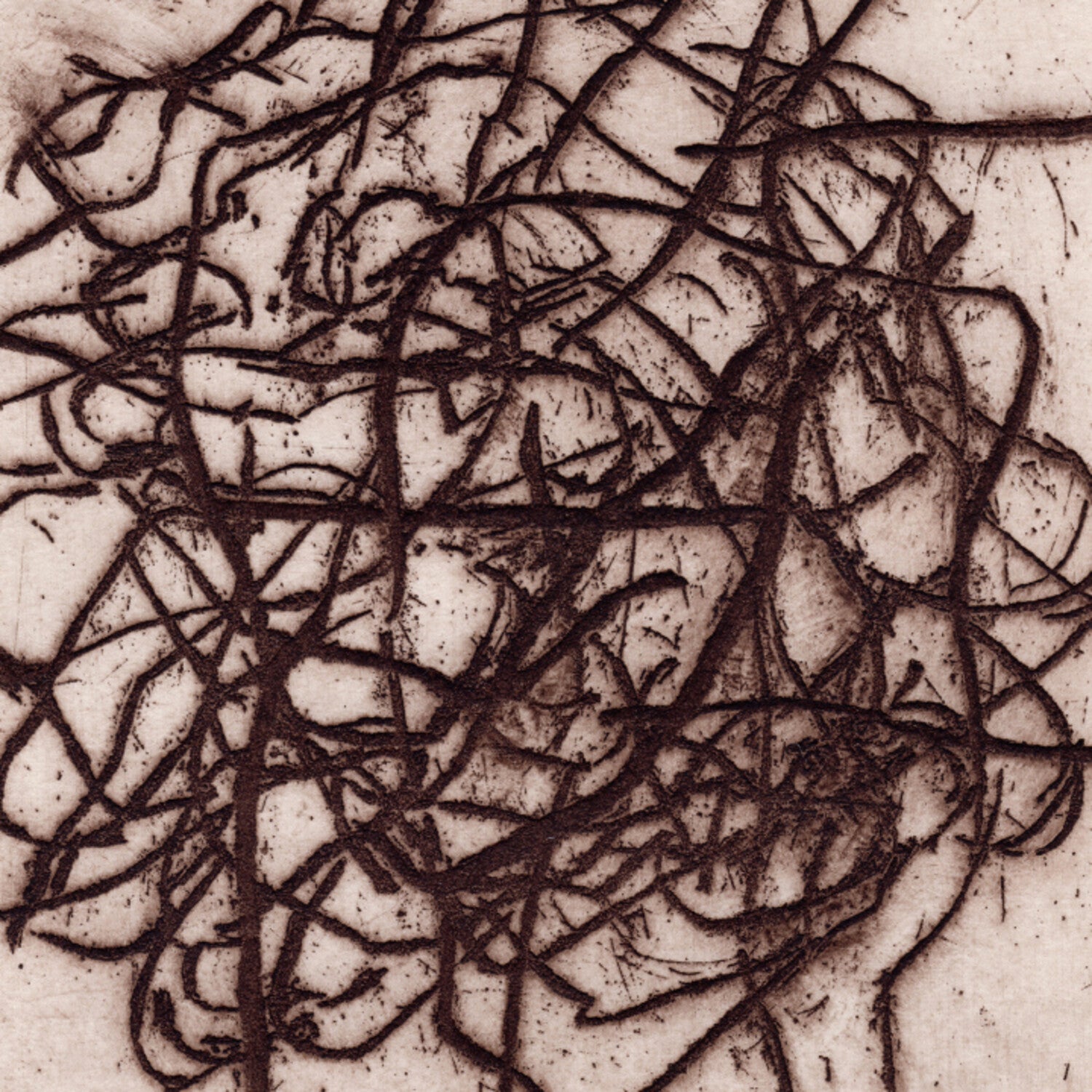 K. Leimer / Marc Barreca - Arrhythmian