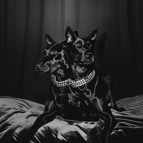 SOFIANE NTO / PAMART - Forever Friends