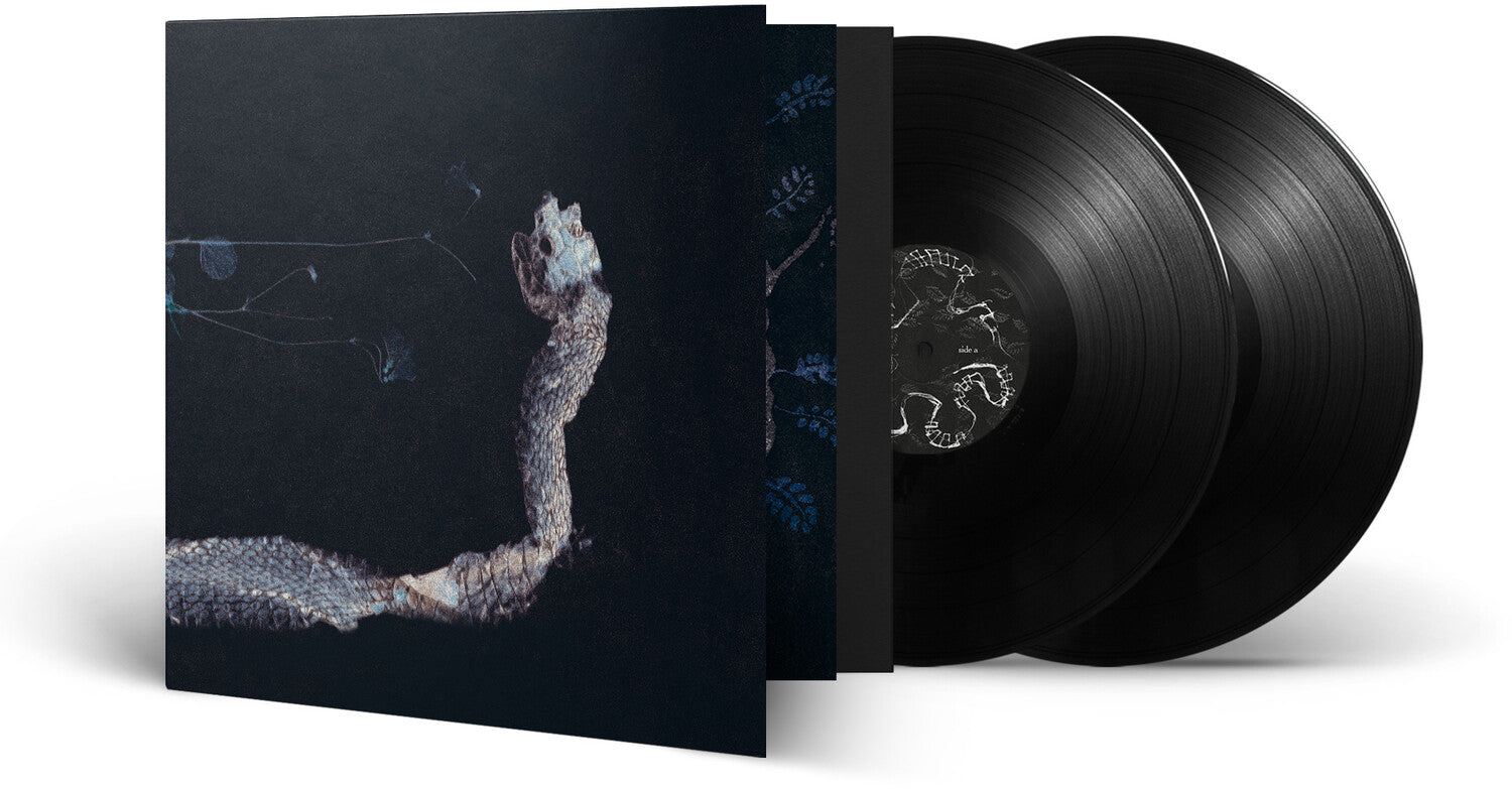 Tenhi - Maaaet 2xLP