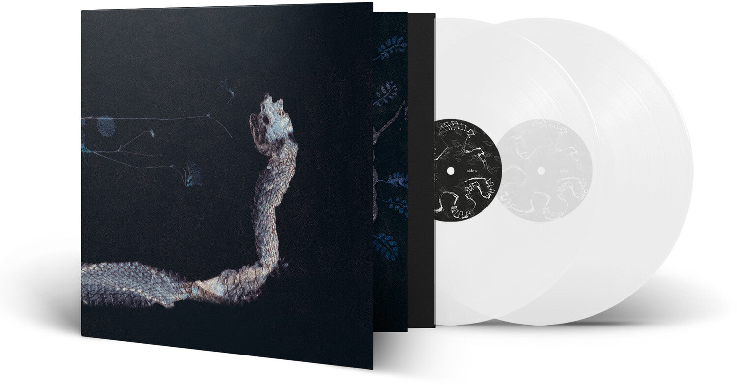 Tenhi - Maaaet 2xLP (Clear Vinyl)