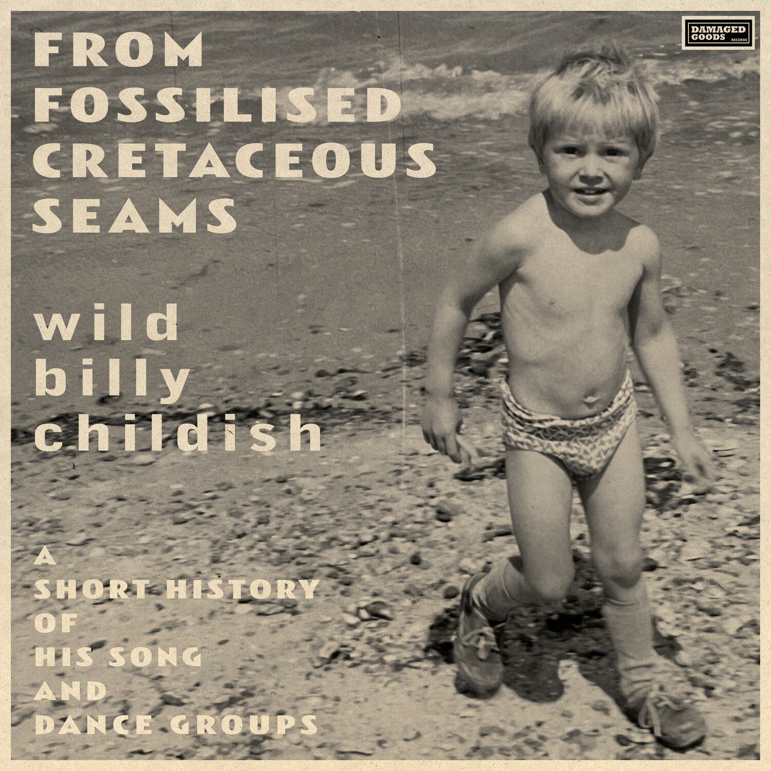 Billy Childish - From Fossilised Cretaceous Seams: A Short History Of His Song And Dance Groups 2xLP