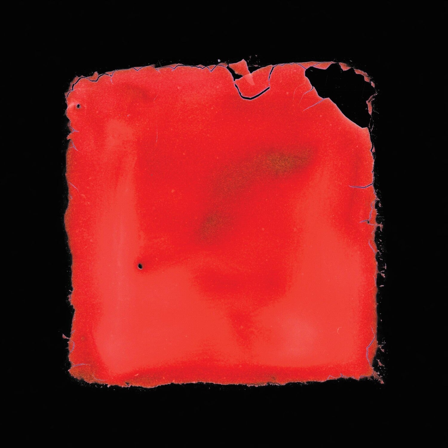 Salvia Palth - Last Chance To See (CD)
