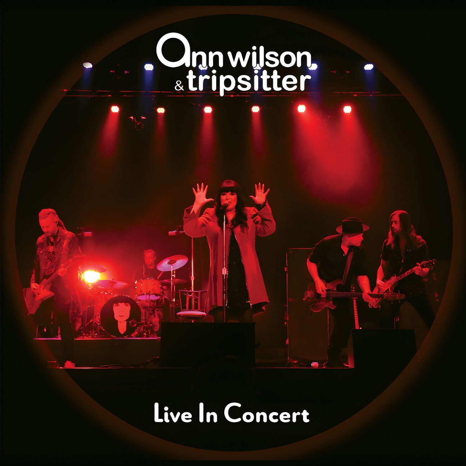 Ann Wilson & Tripsitter - Live In Concert 2xLP