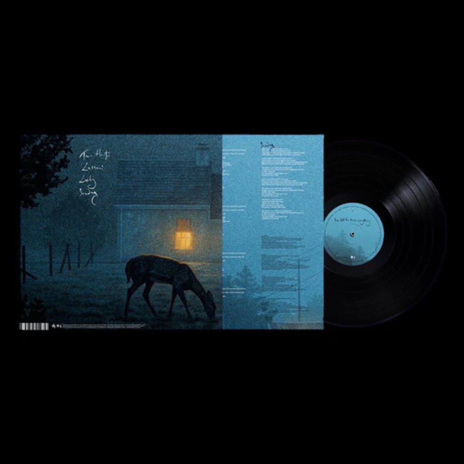 Dermot Kennedy - I've Told The Trees Everything