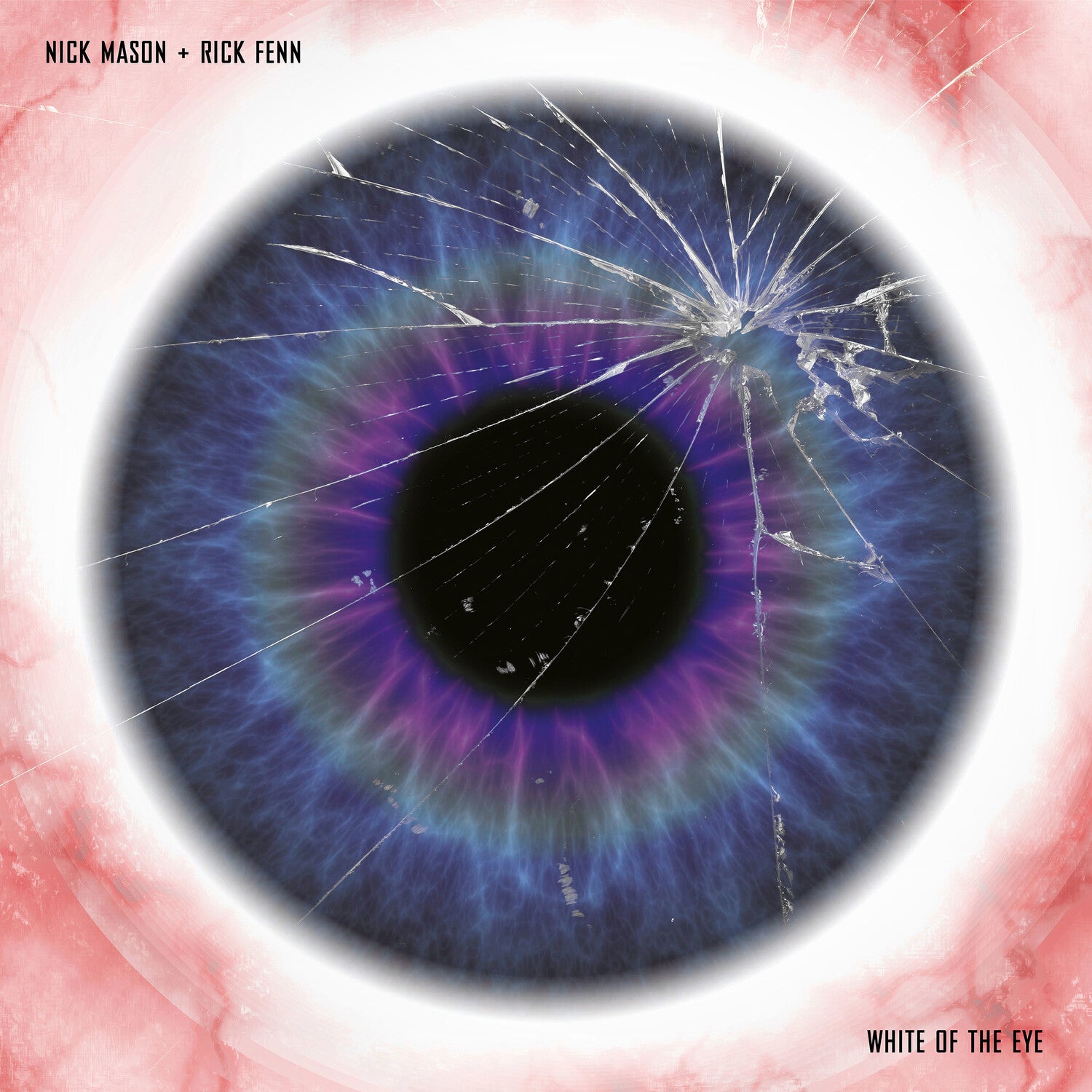 Nick Mason & Rick Fenn - White Of The Eye (Original Soundtrack)