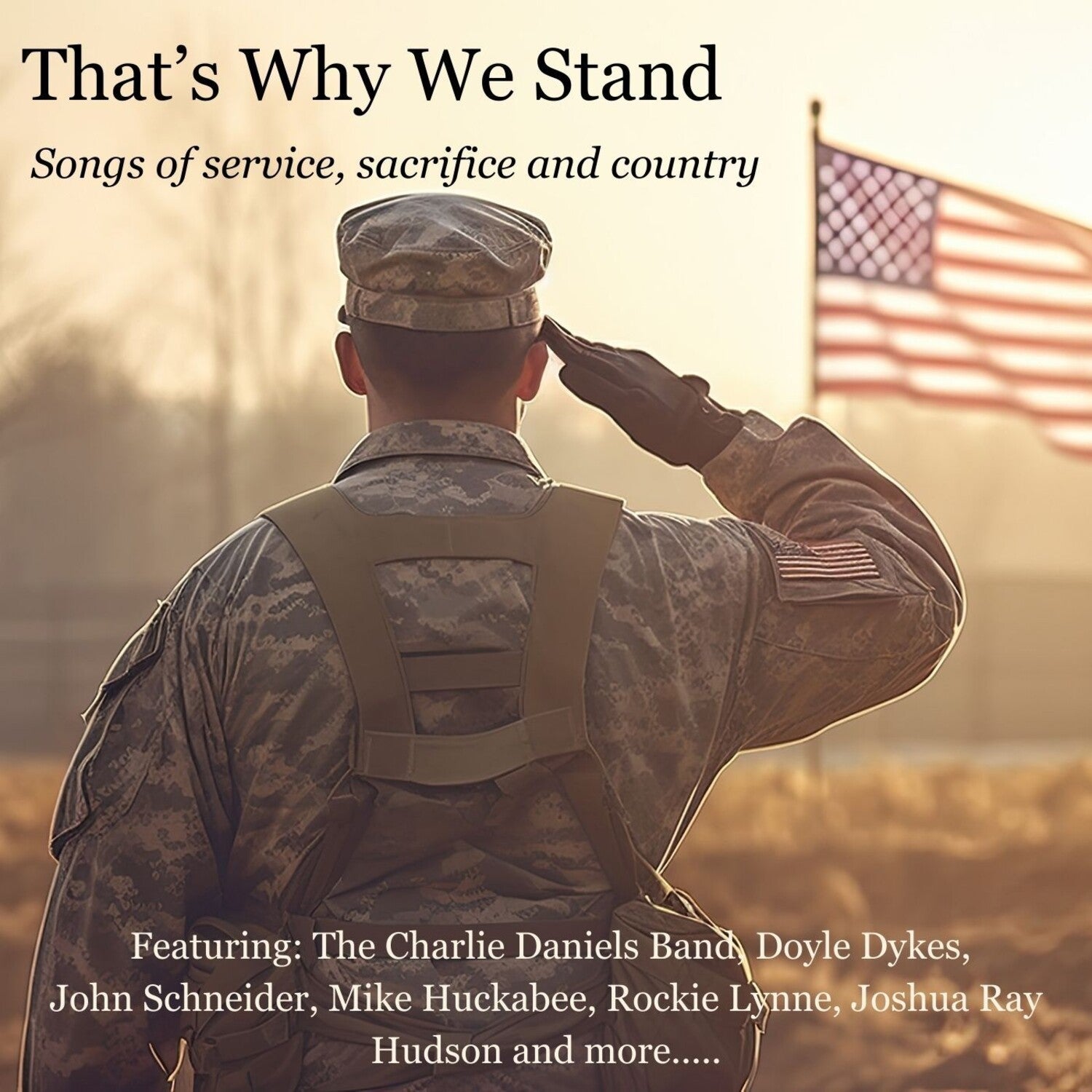 Various Artists - That's Why We Stand